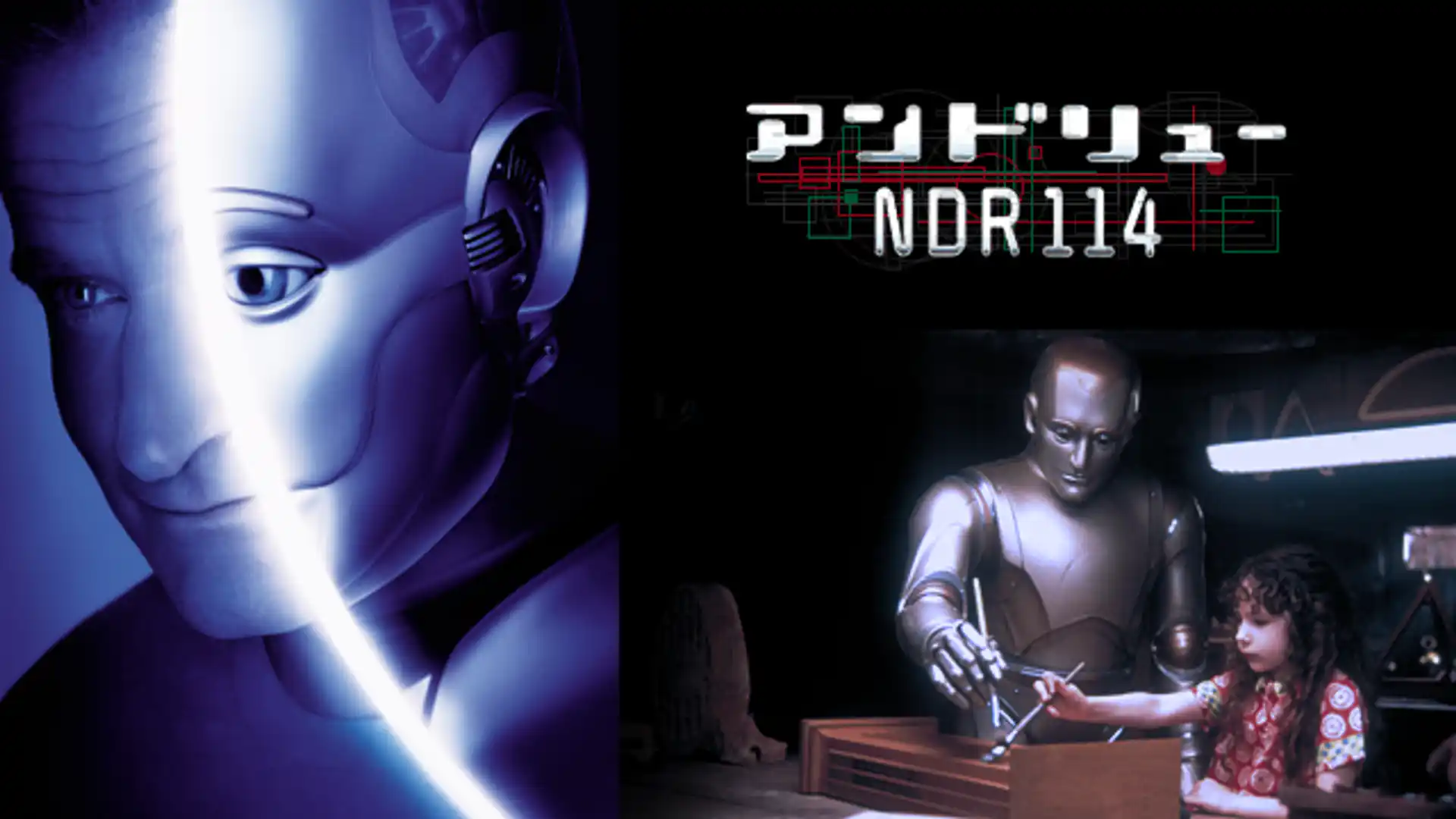 アンドリューNDR114