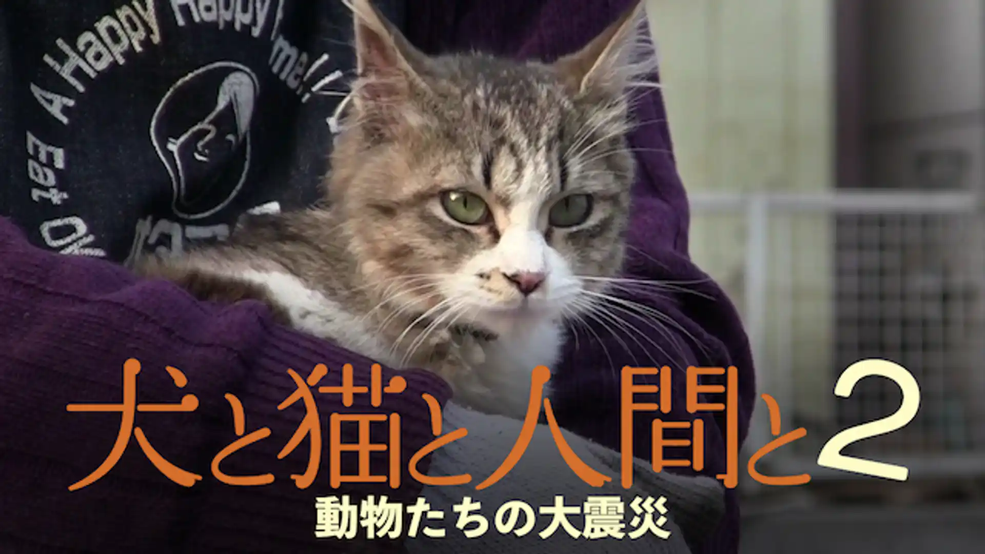 犬と猫と人間と2 動物たちの大震災