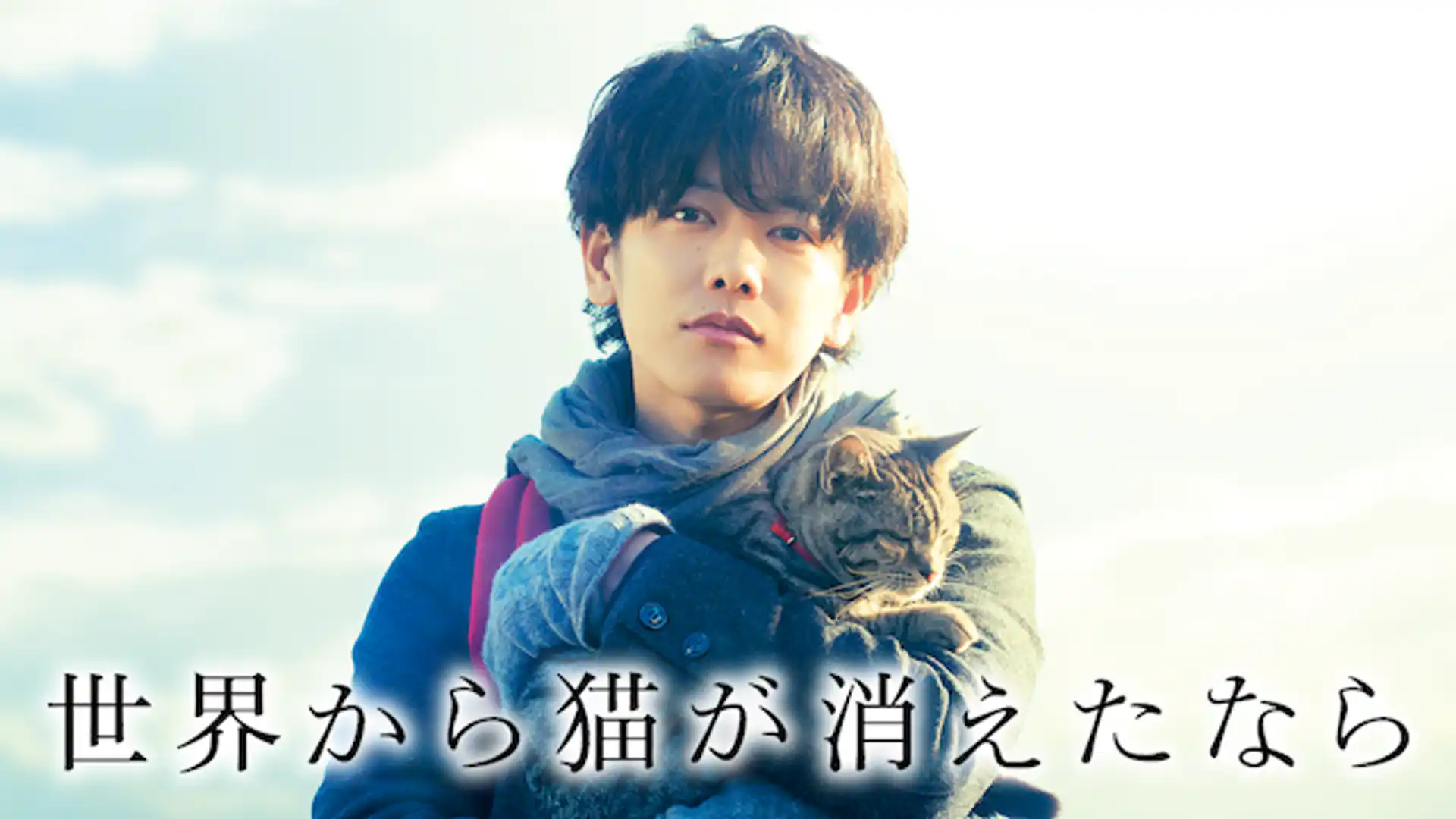 世界から猫が消えたなら