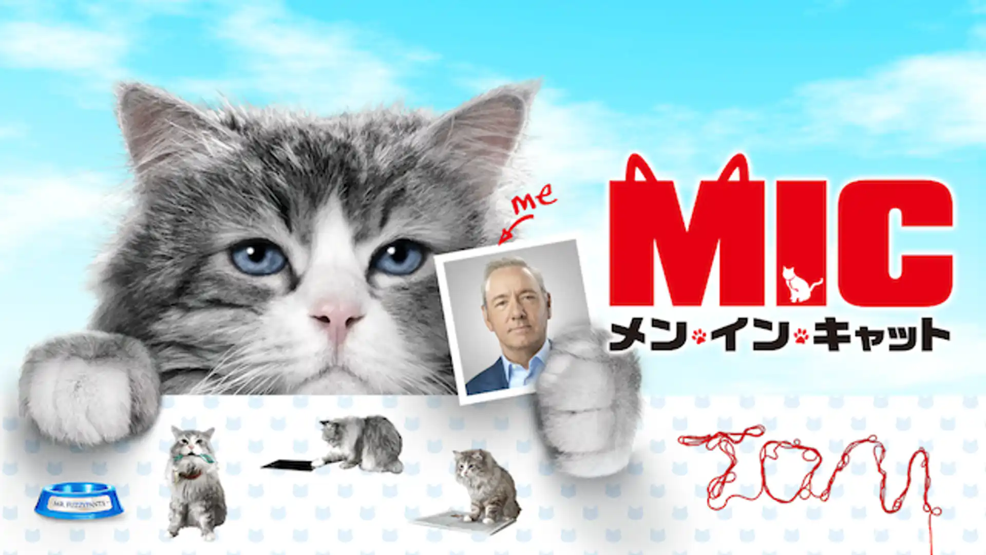 メン・イン・キャット
