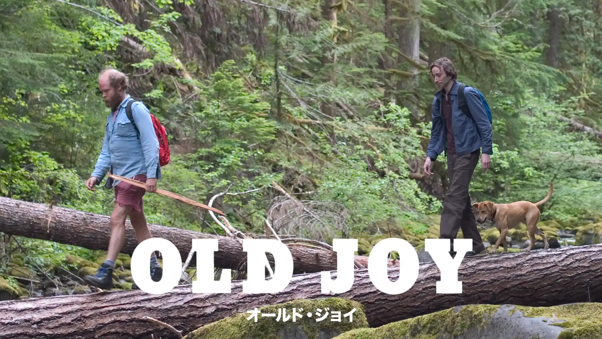 オールド・ジョイ