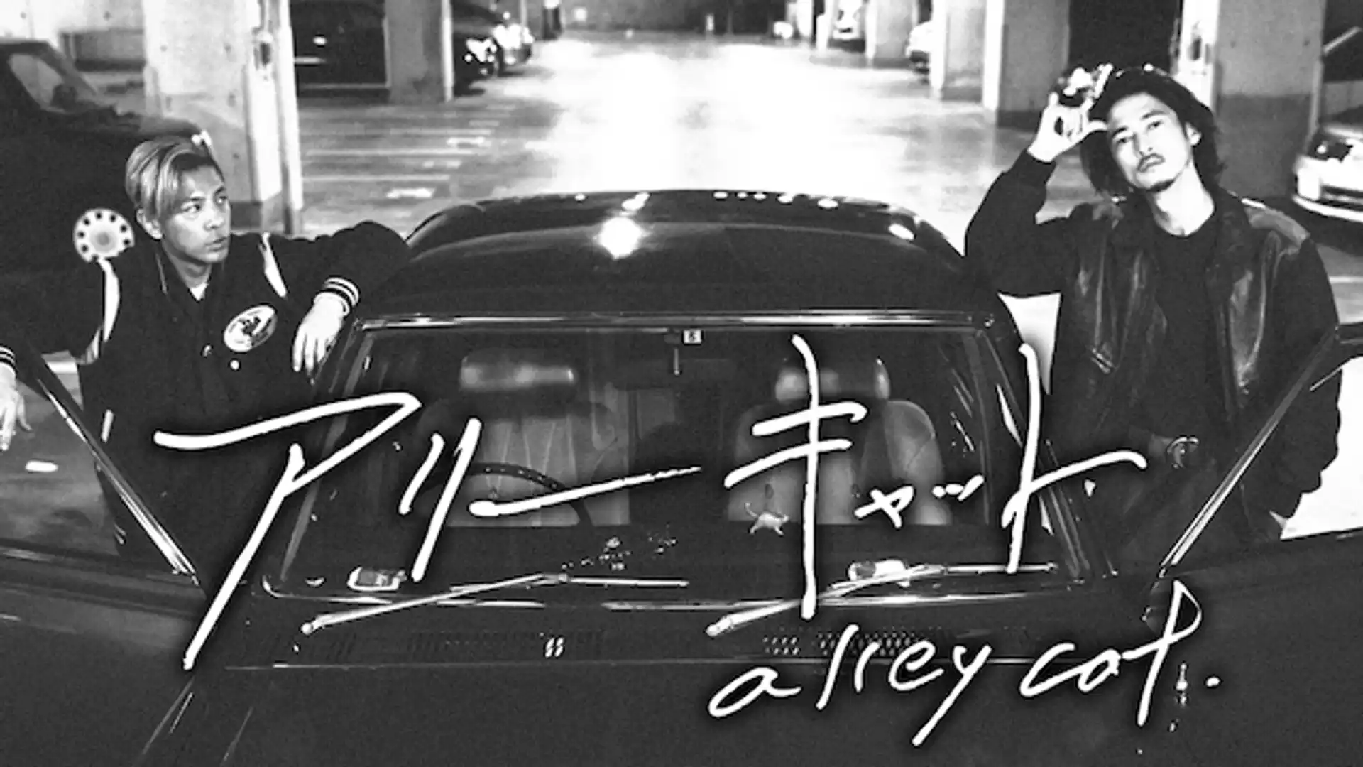 アリーキャット