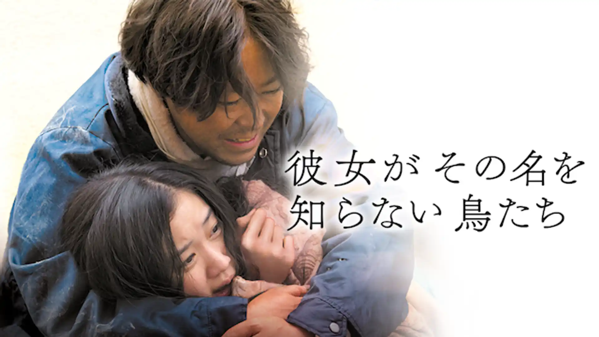 彼女がその名を知らない鳥たち