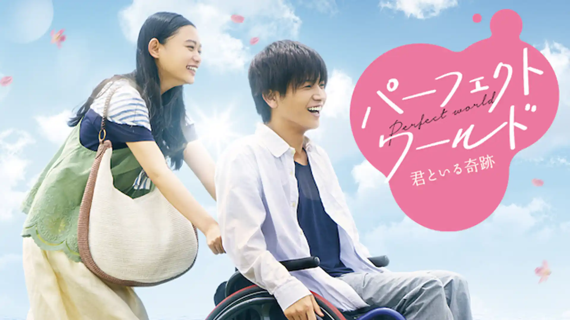 パーフェクトワールド 君といる奇跡
