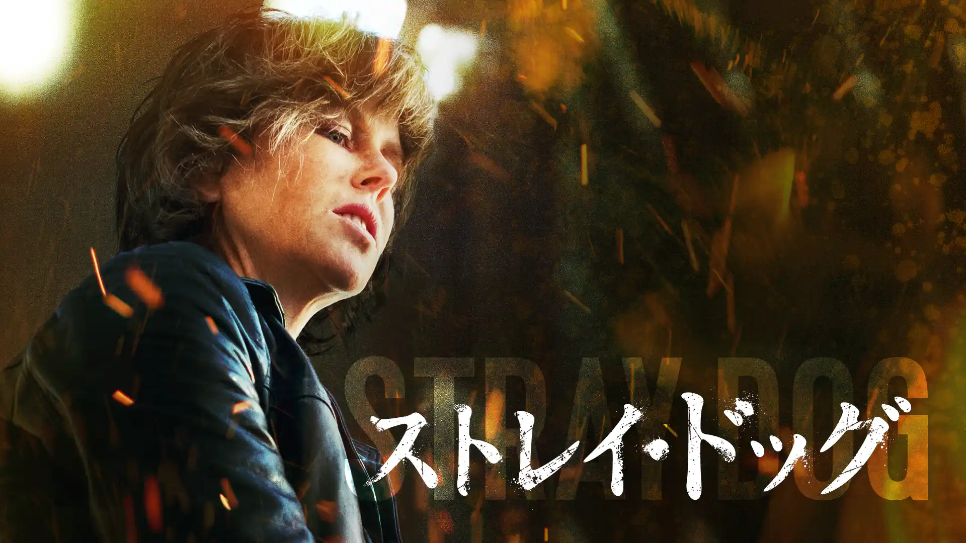 ストレイ・ドッグ