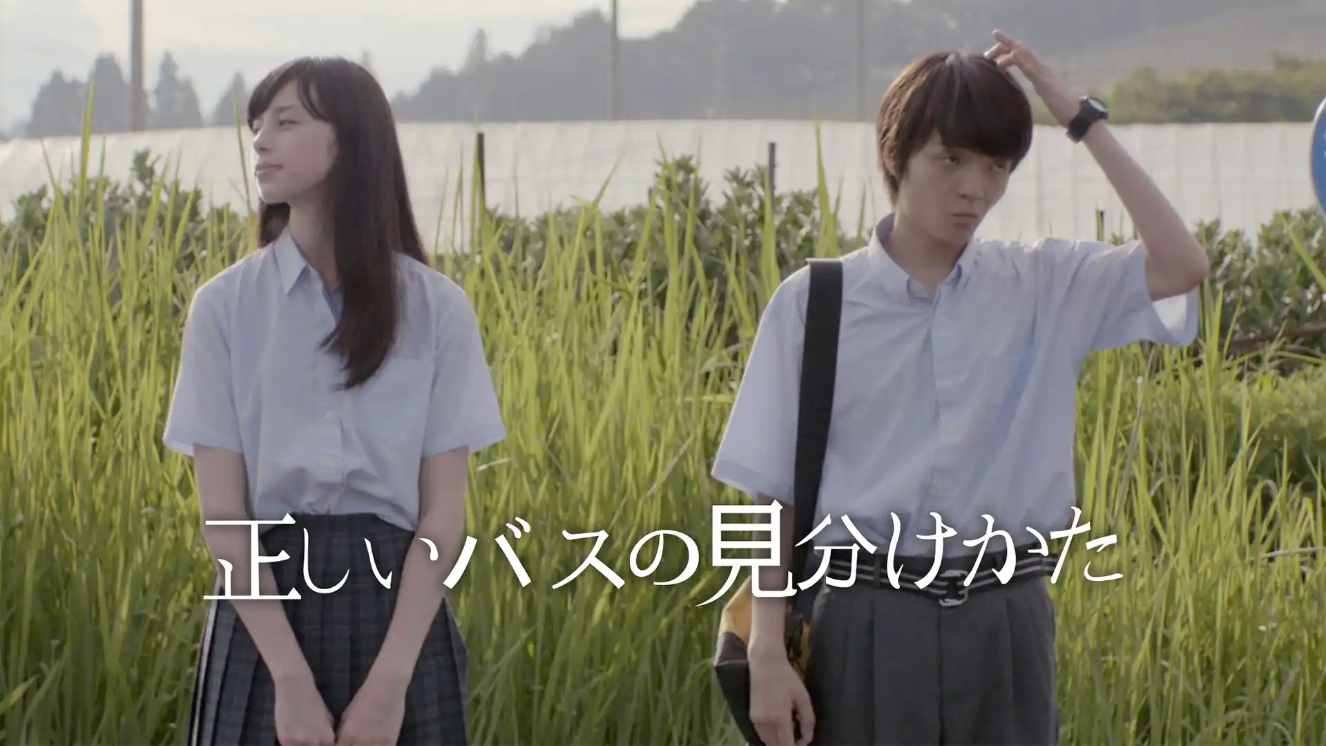 正しいバスの見分けかた