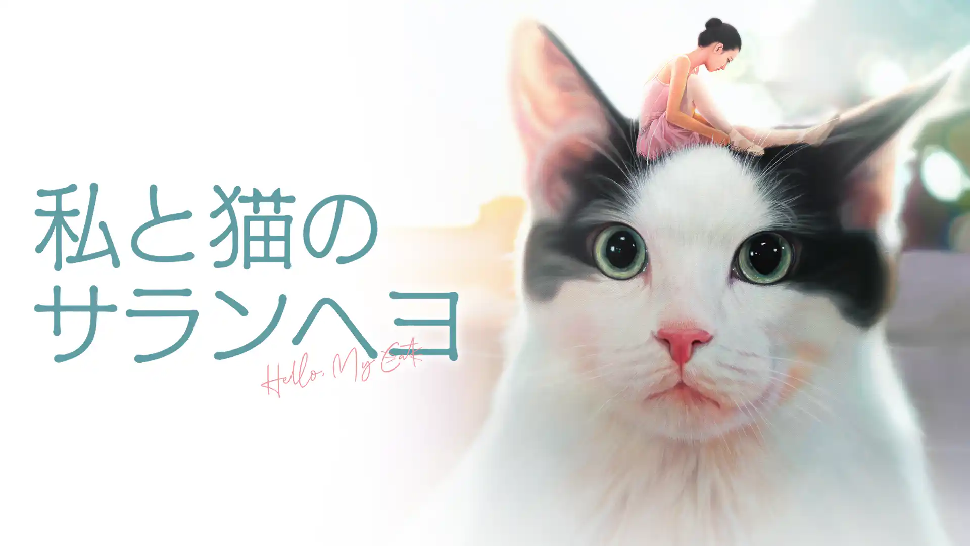 私と猫のサランヘヨ