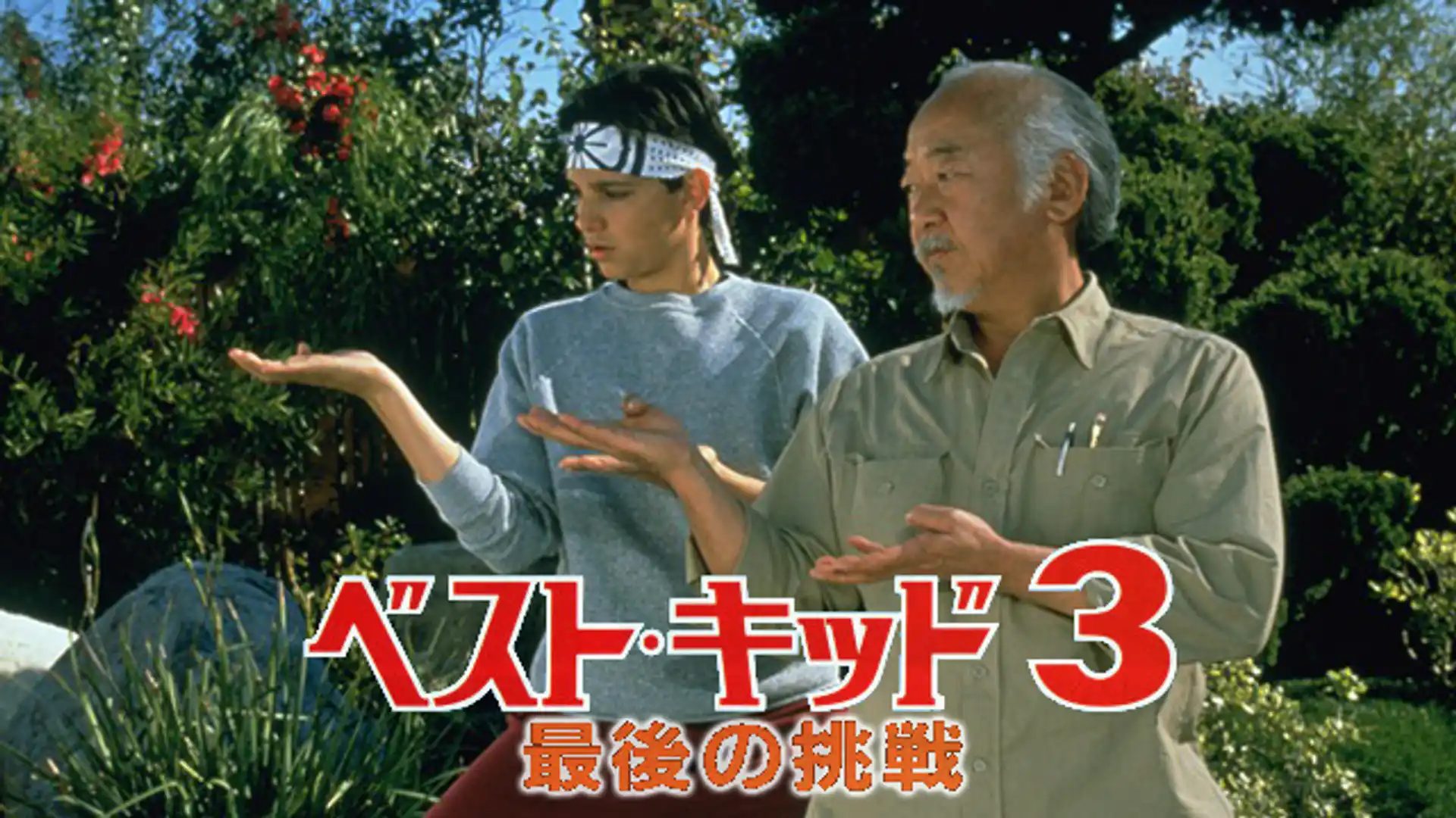 ベスト・キッド3／最後の挑戦