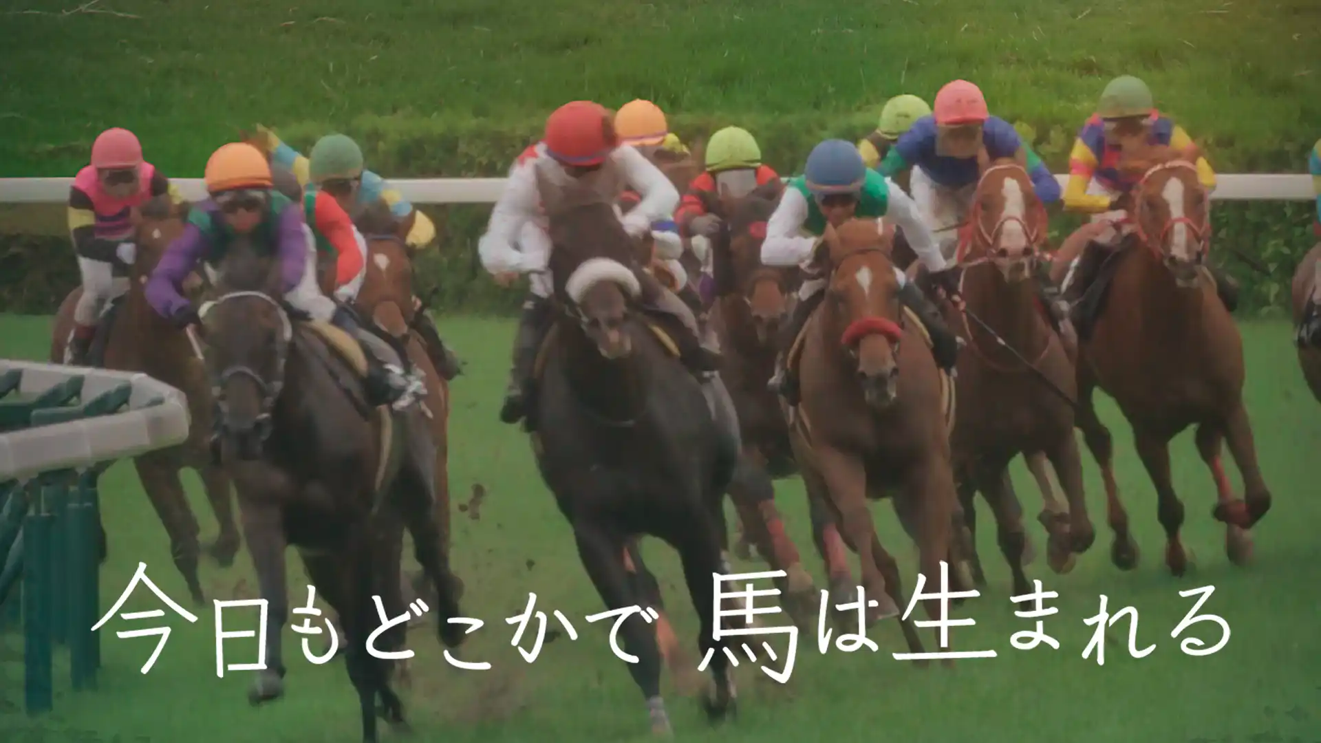 今日もどこかで馬は生まれる