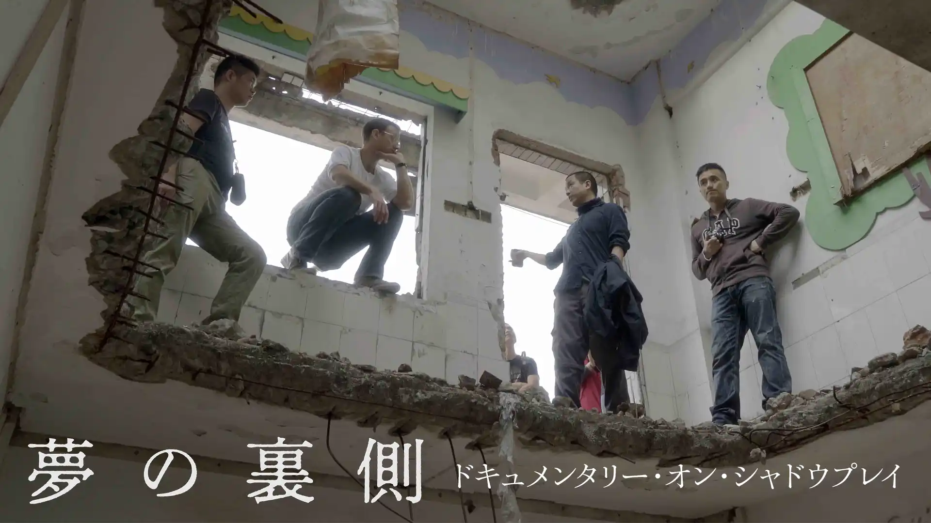 夢の裏側 ドキュメンタリー・オン・シャドウプレイ