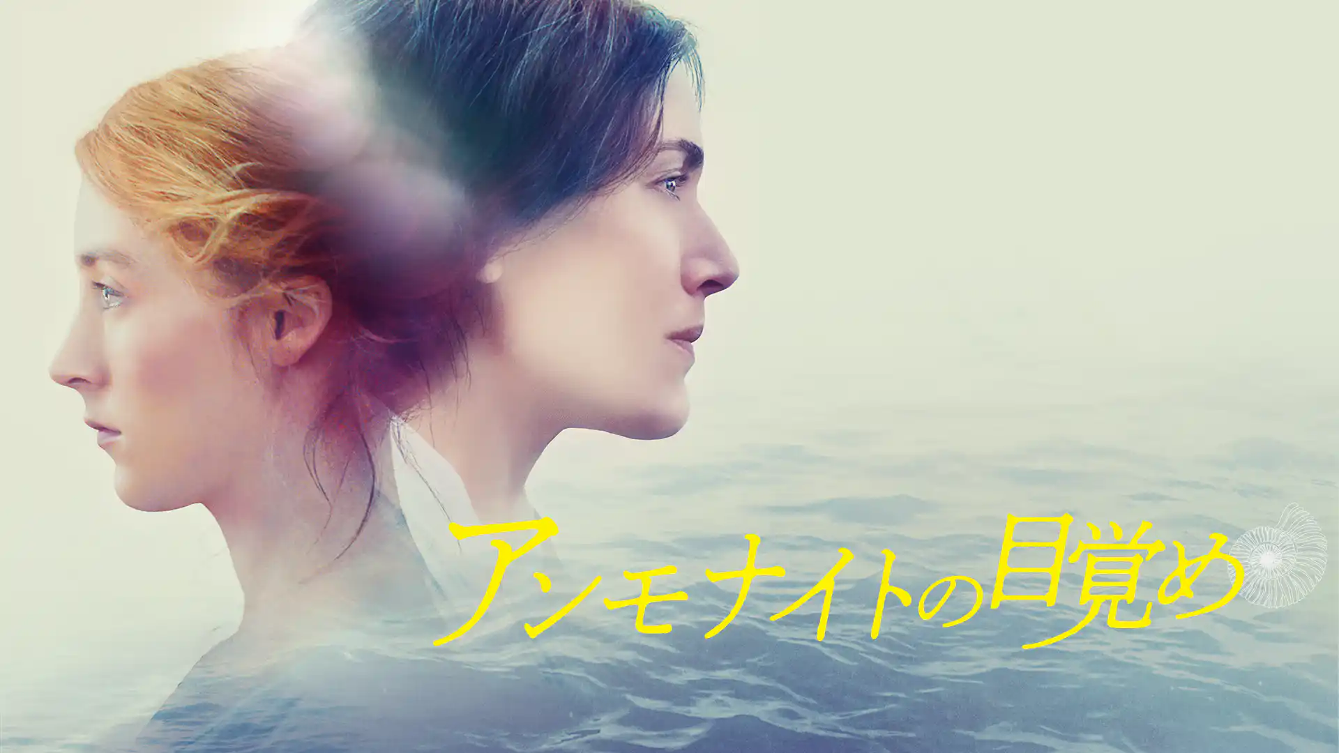 アンモナイトの目覚め