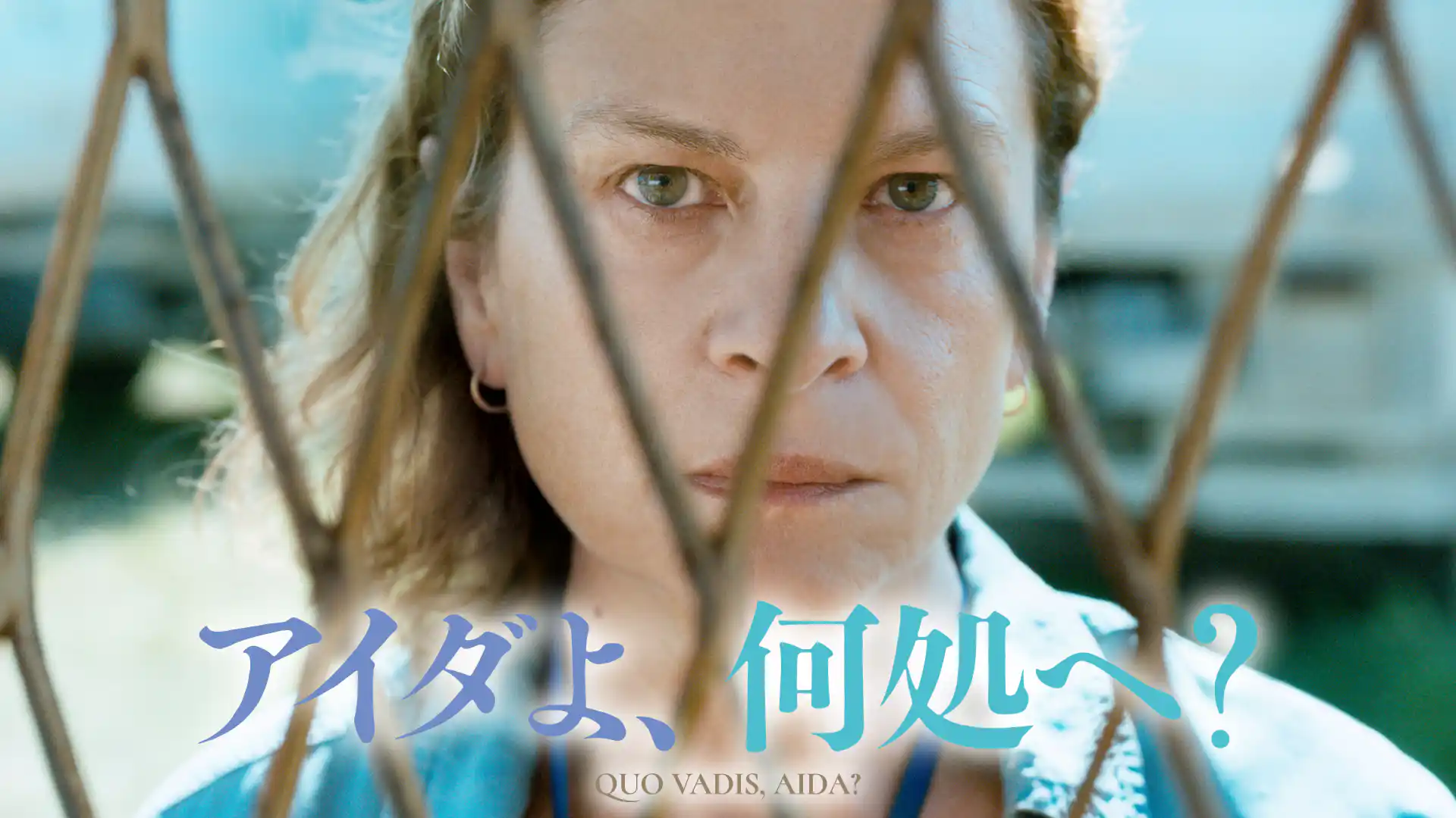 アイダよ、何処へ？