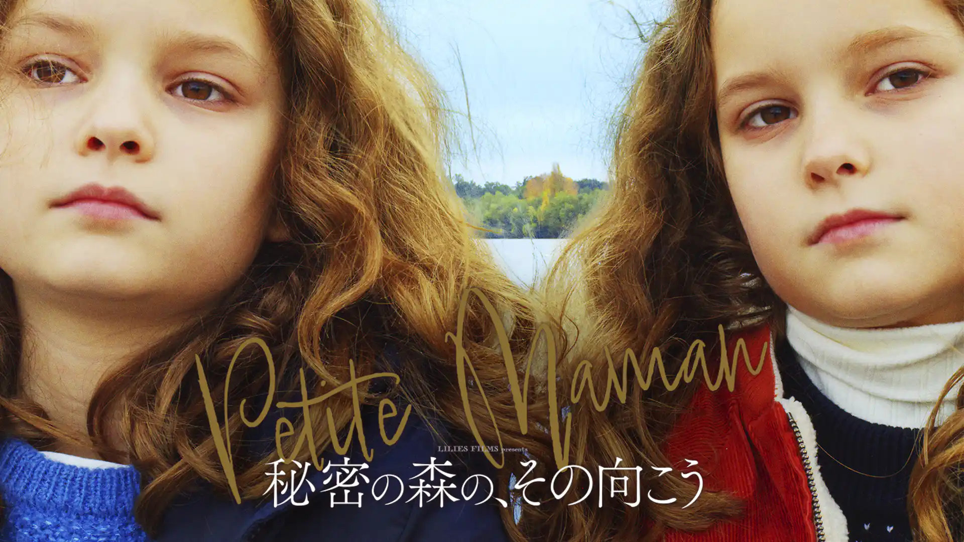 秘密の森の、その向こう