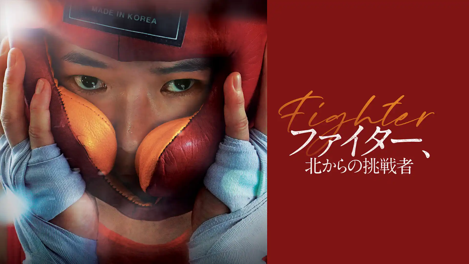 ファイター、北からの挑戦者