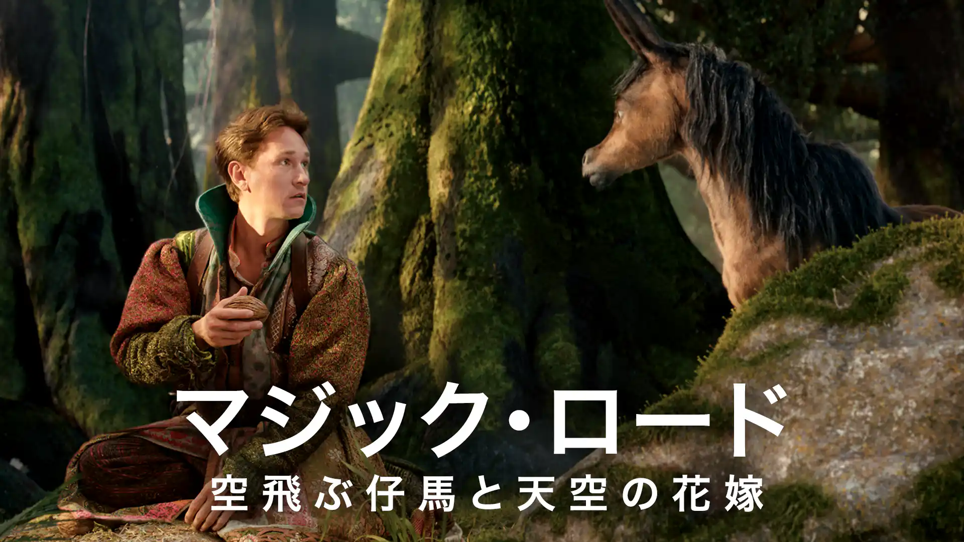 マジック・ロード 空飛ぶ仔馬と天空の花嫁