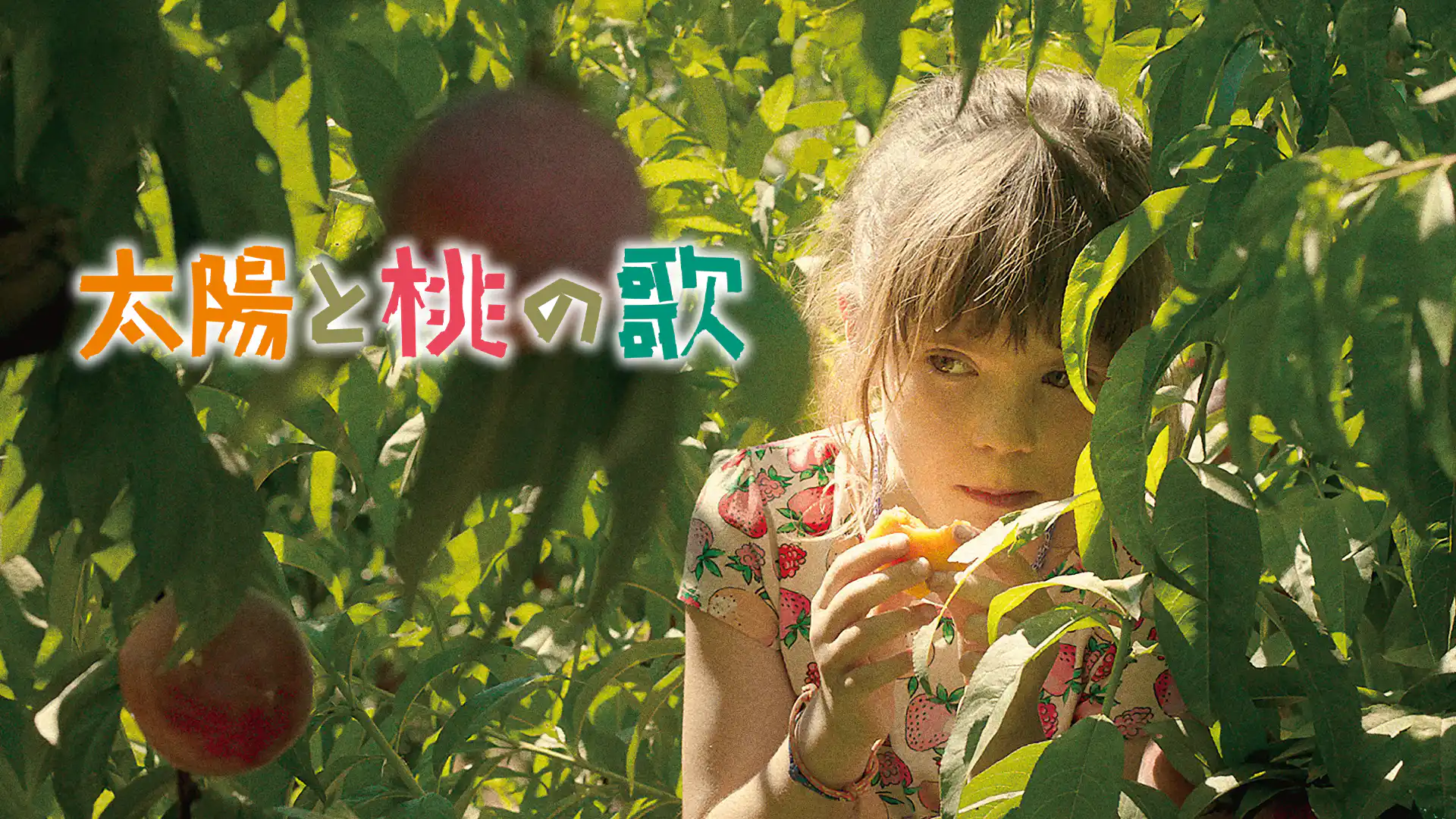 太陽と桃の歌
