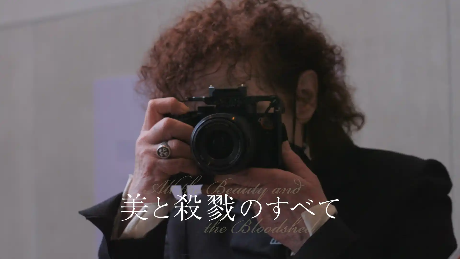 美と殺戮のすべて