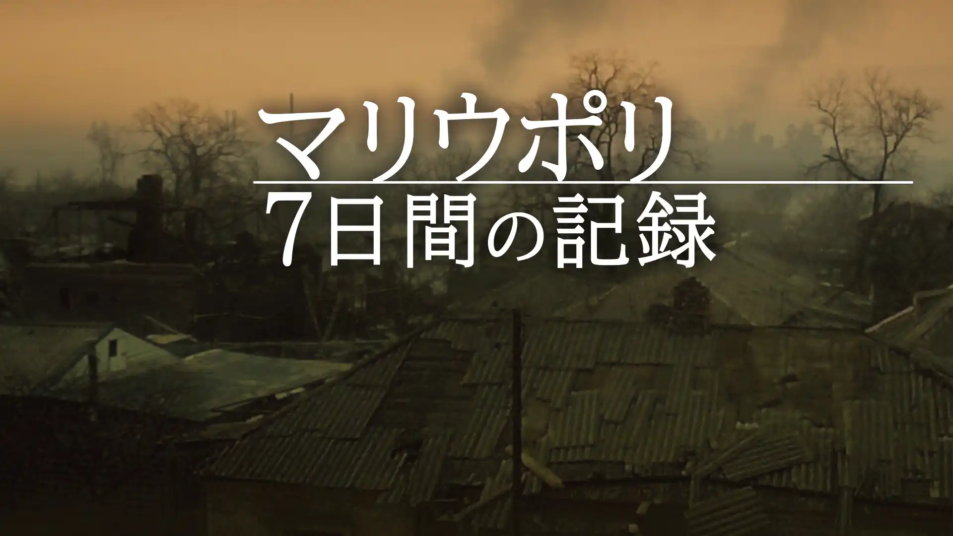 マリウポリ 7日間の記録