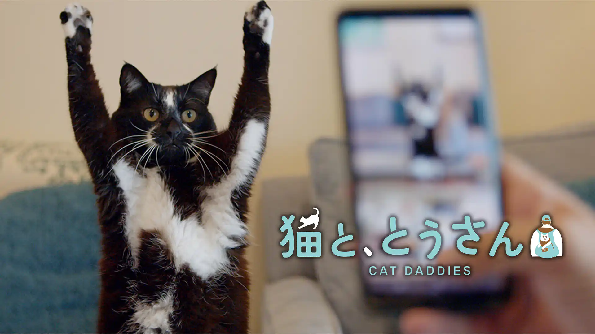 猫と、とうさん