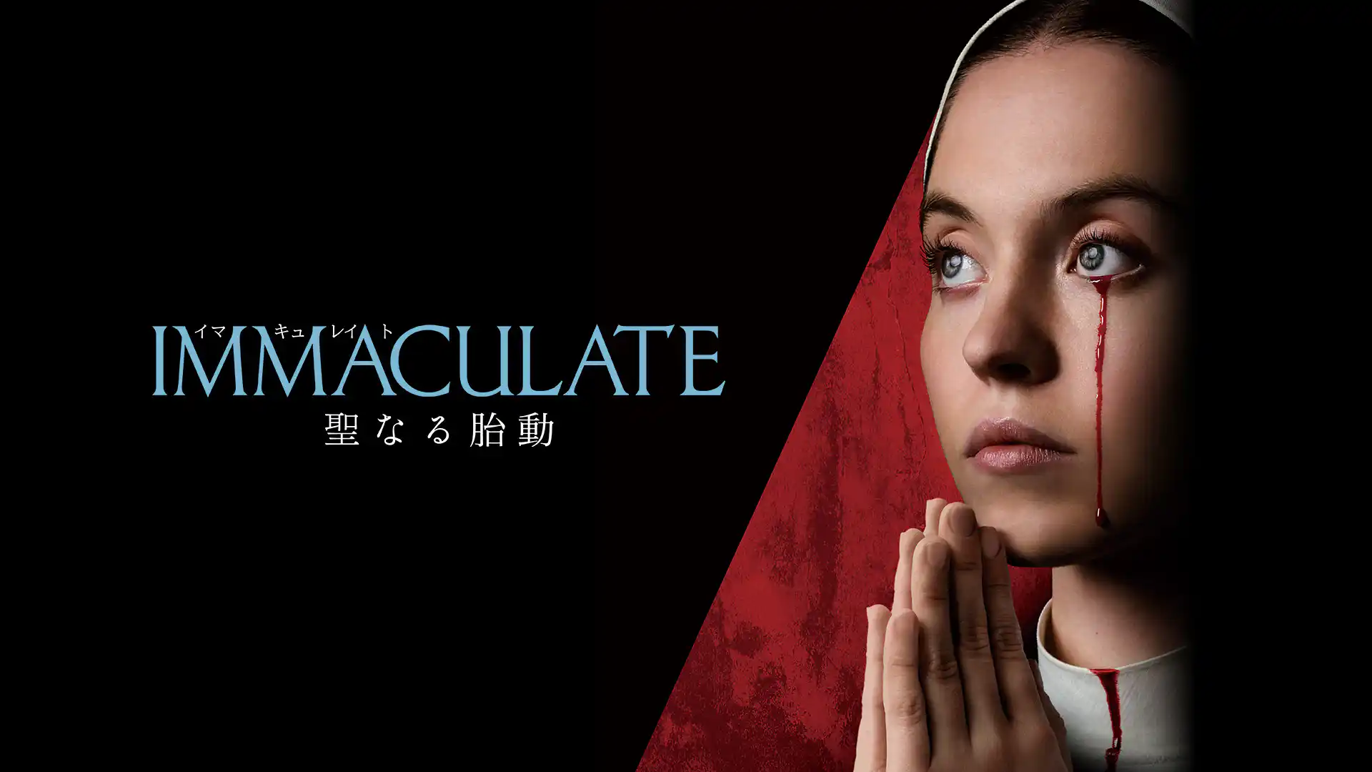 IMMACULATE 聖なる胎動