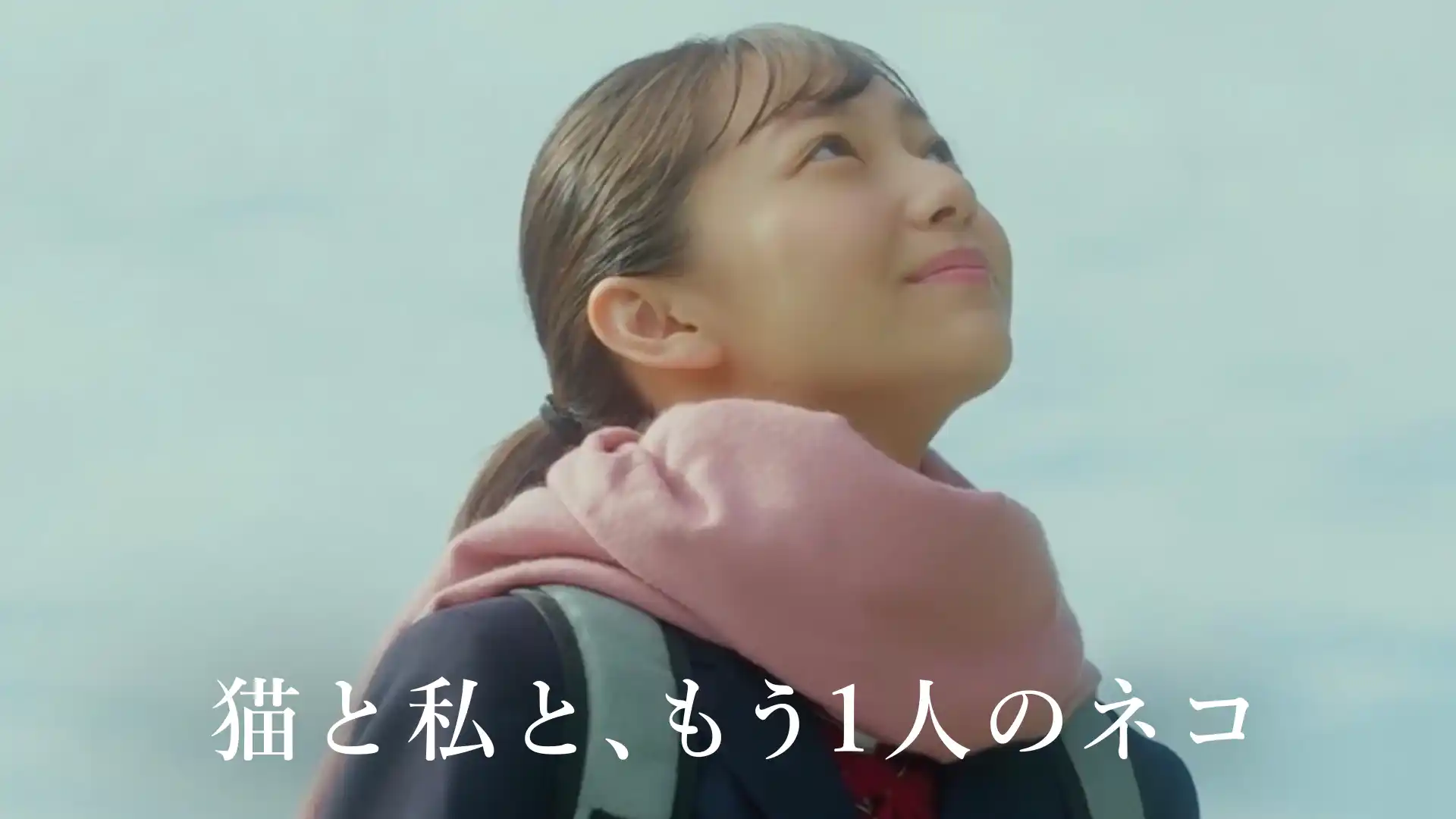 猫と私と、もう1人のネコ