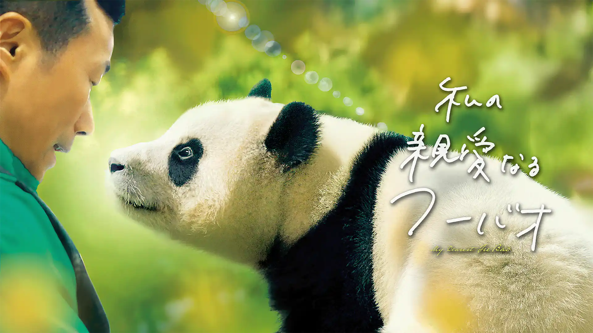 私の親愛なるフーバオ