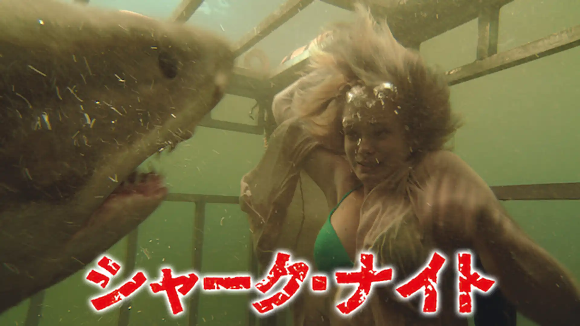 シャーク・ナイト