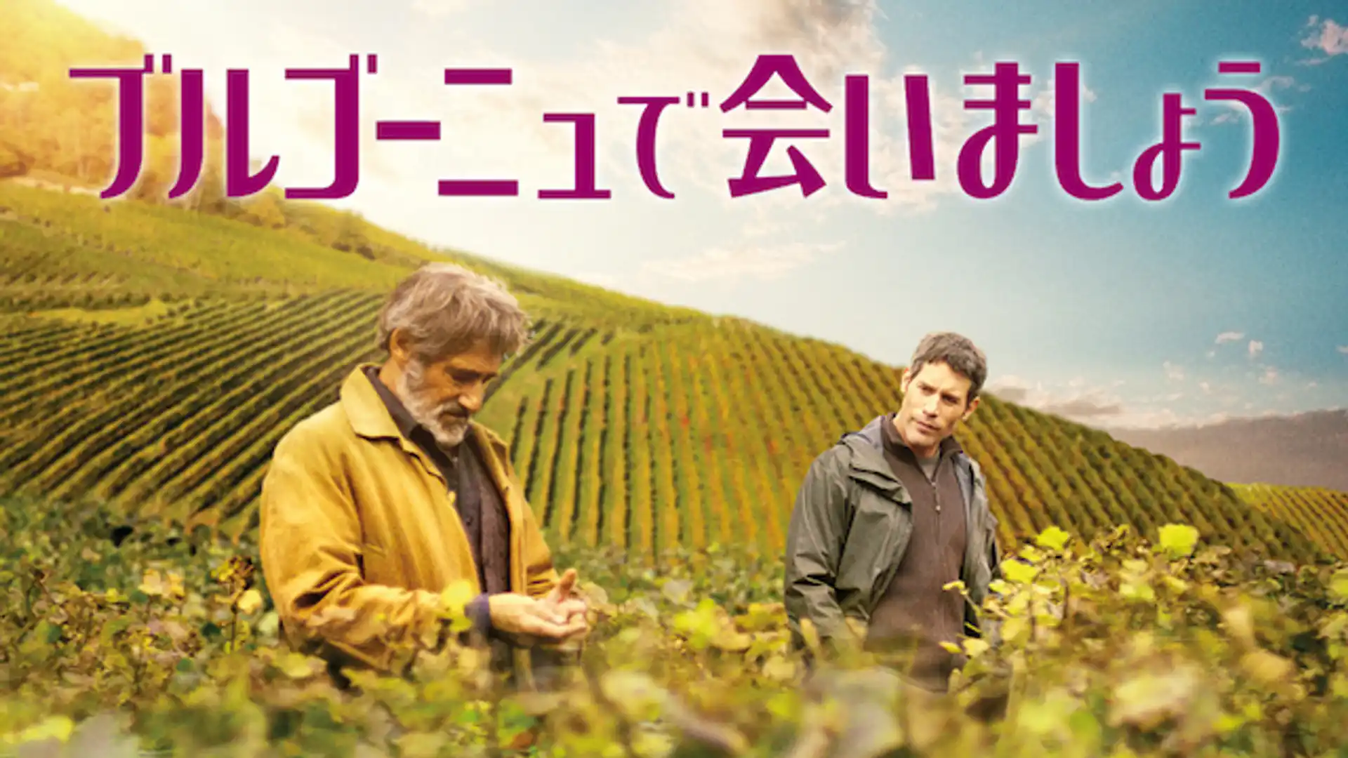 ブルゴーニュで会いましょう