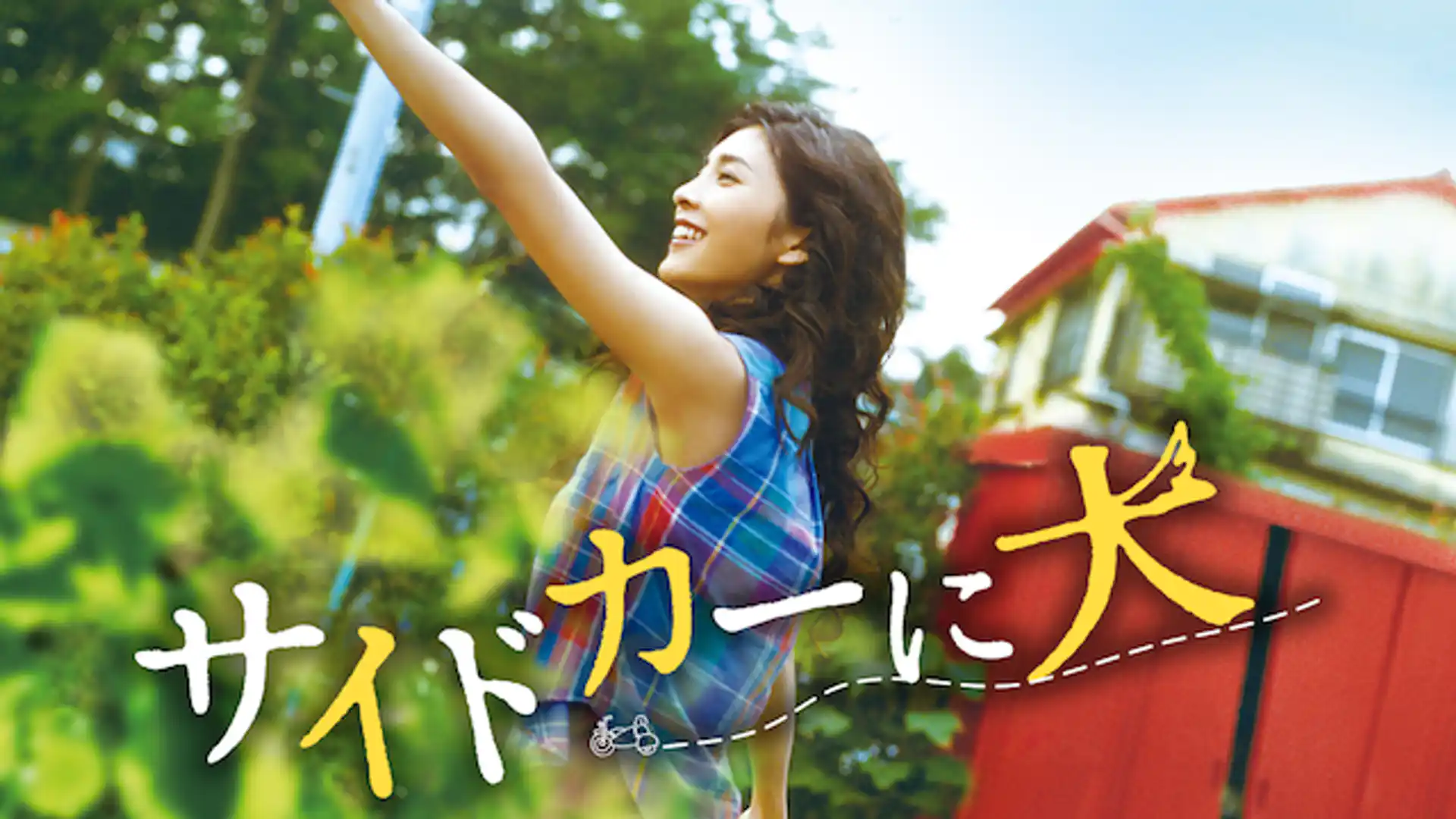 サイドカーに犬