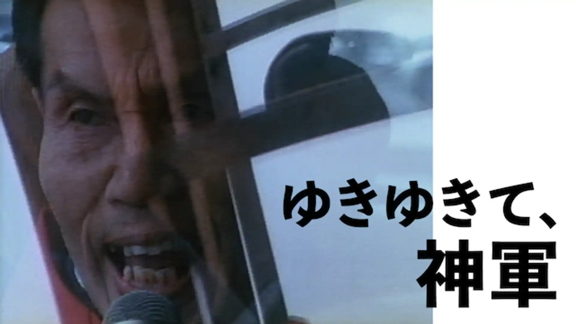 ゆきゆきて、神軍