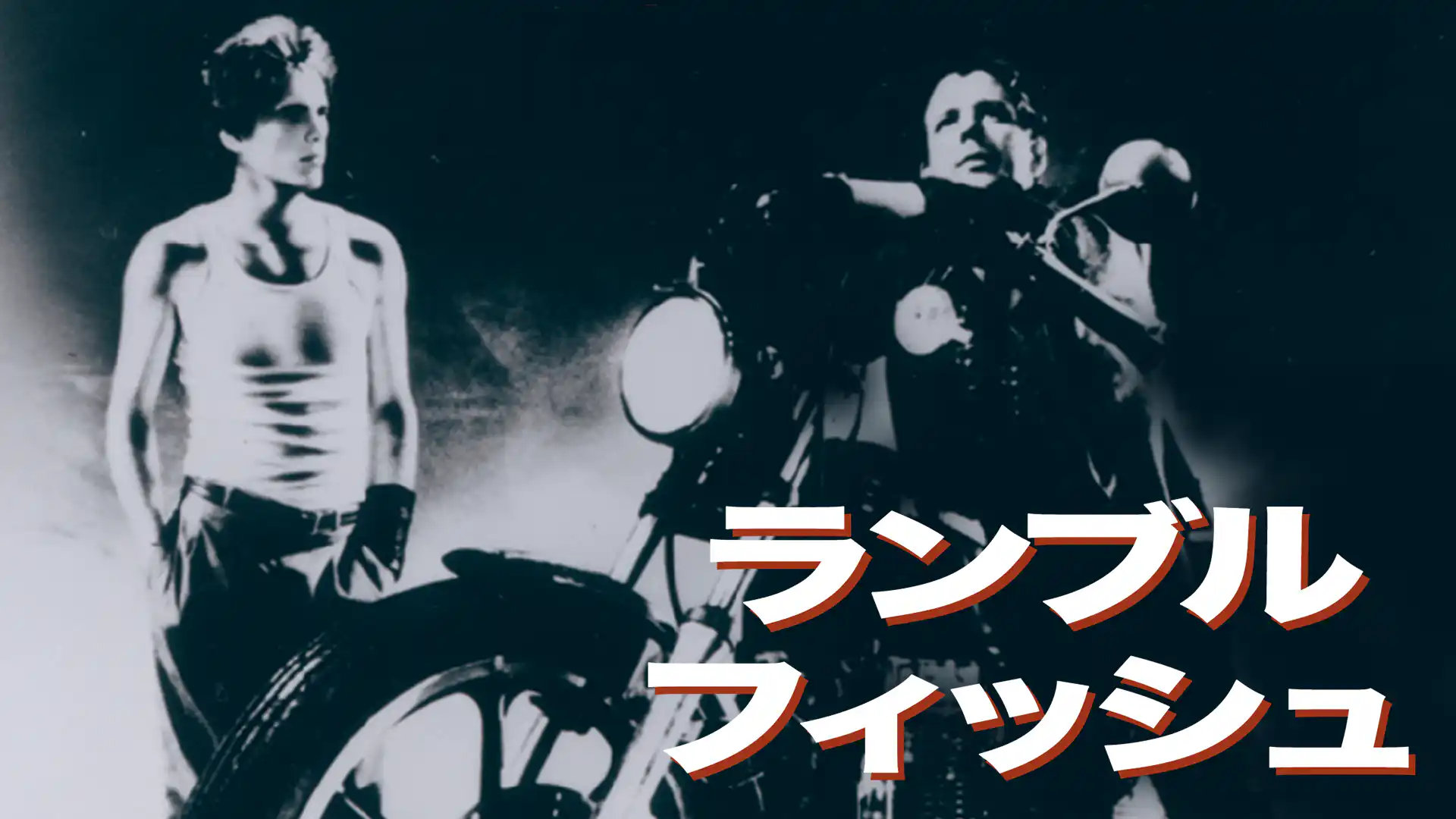 ランブルフィッシュ