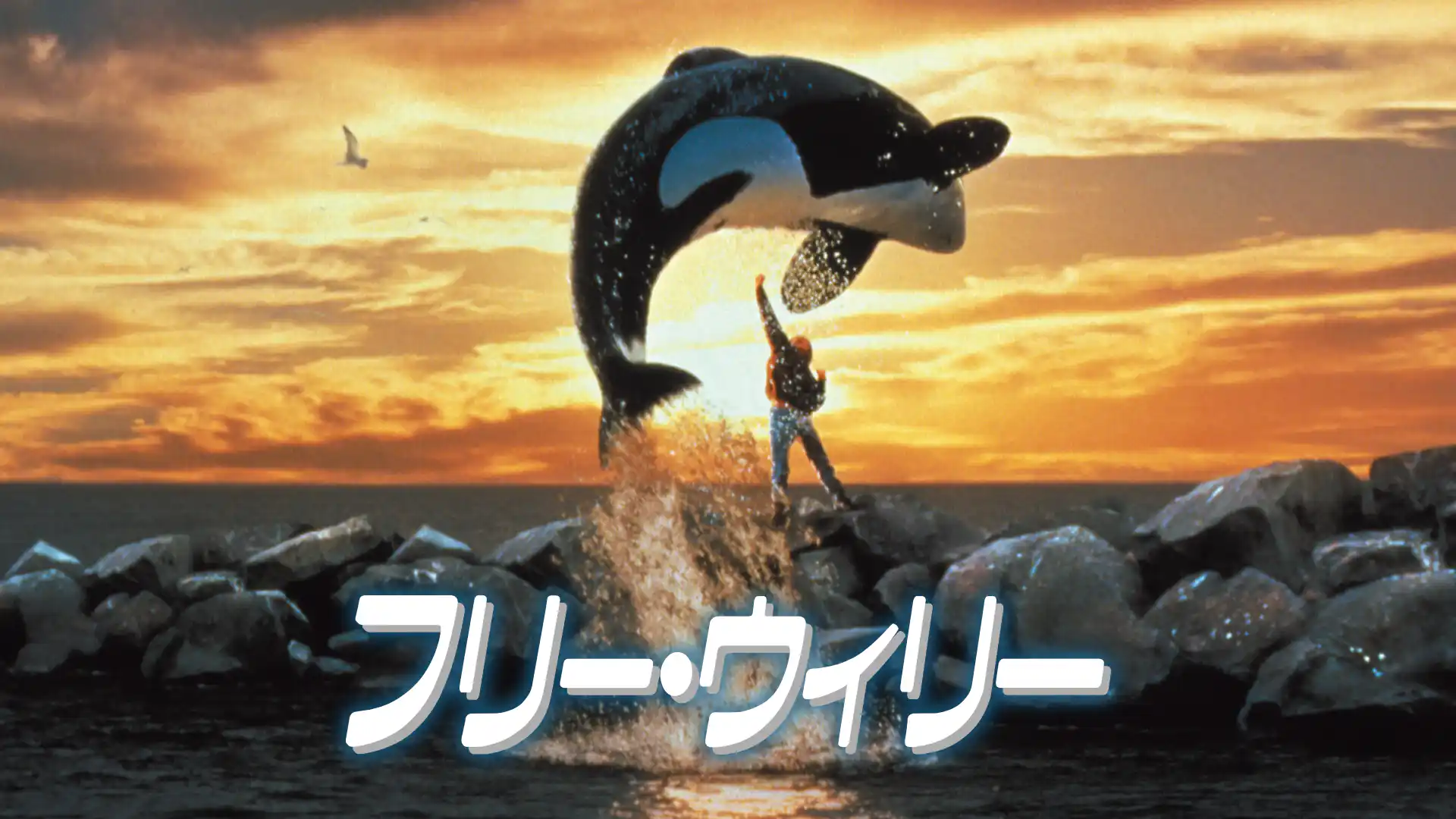 フリー・ウィリー