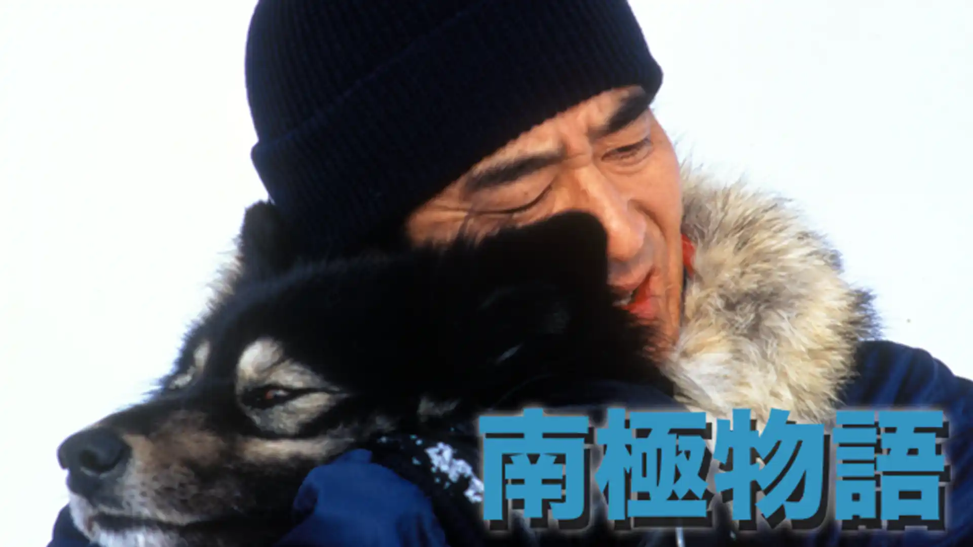 南極物語