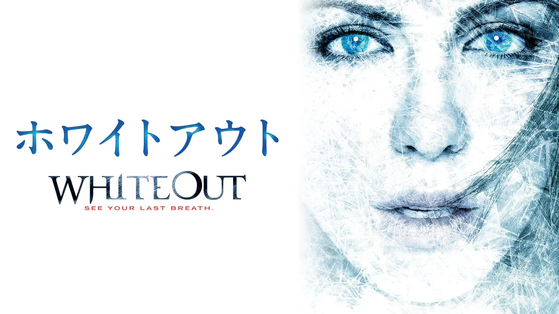 ホワイトアウト