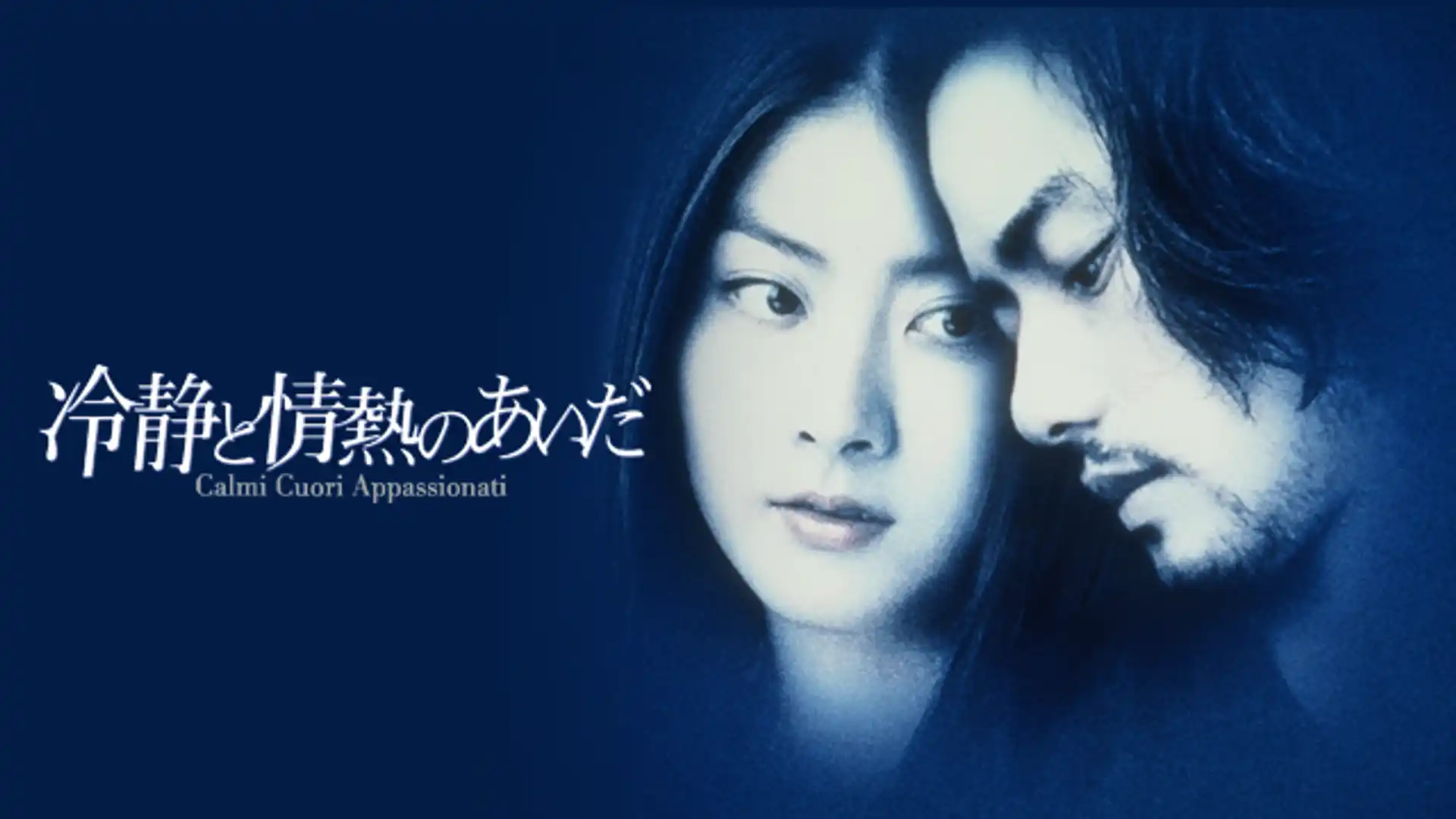 冷静と情熱のあいだ