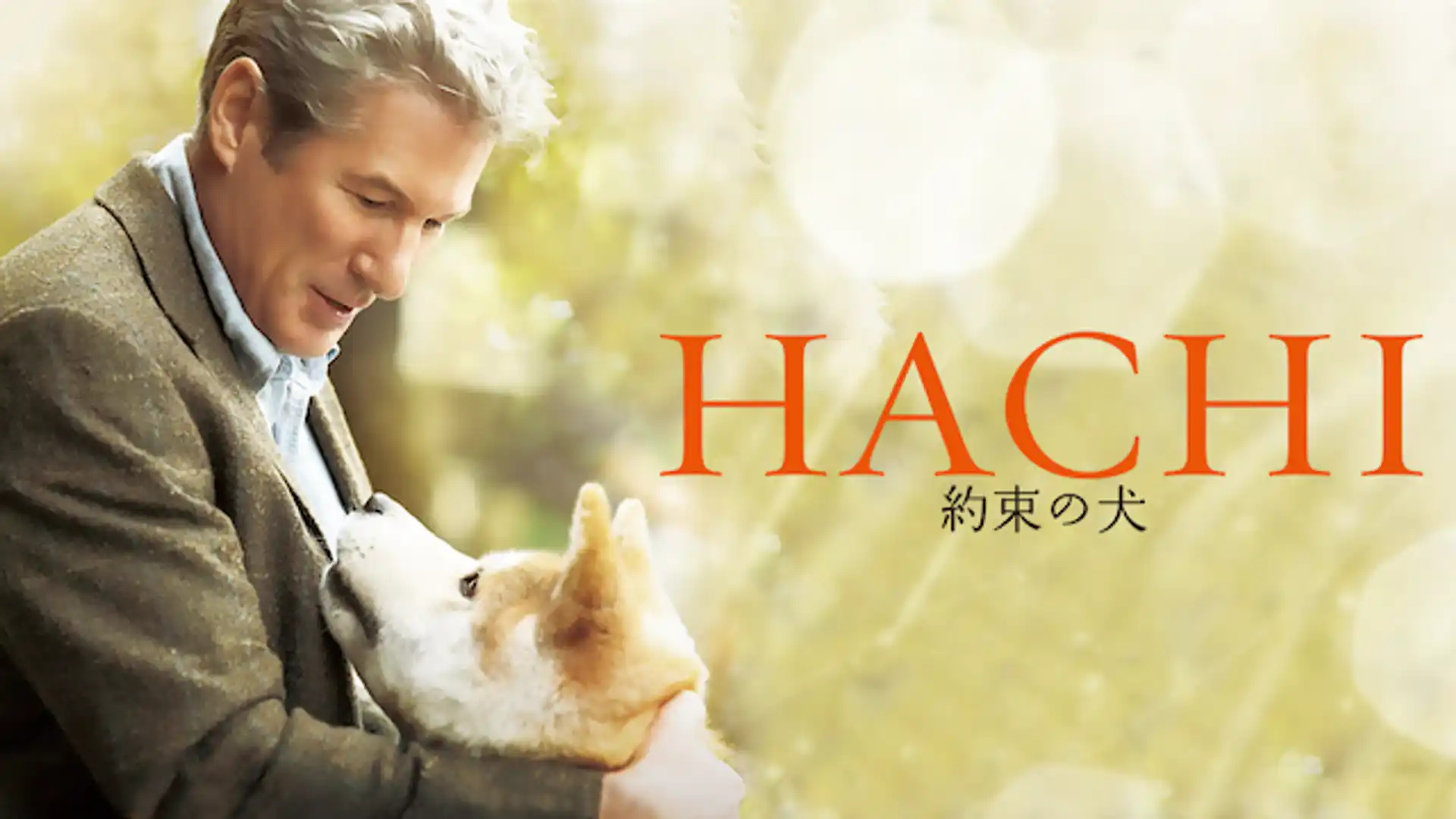 HACHI 約束の犬