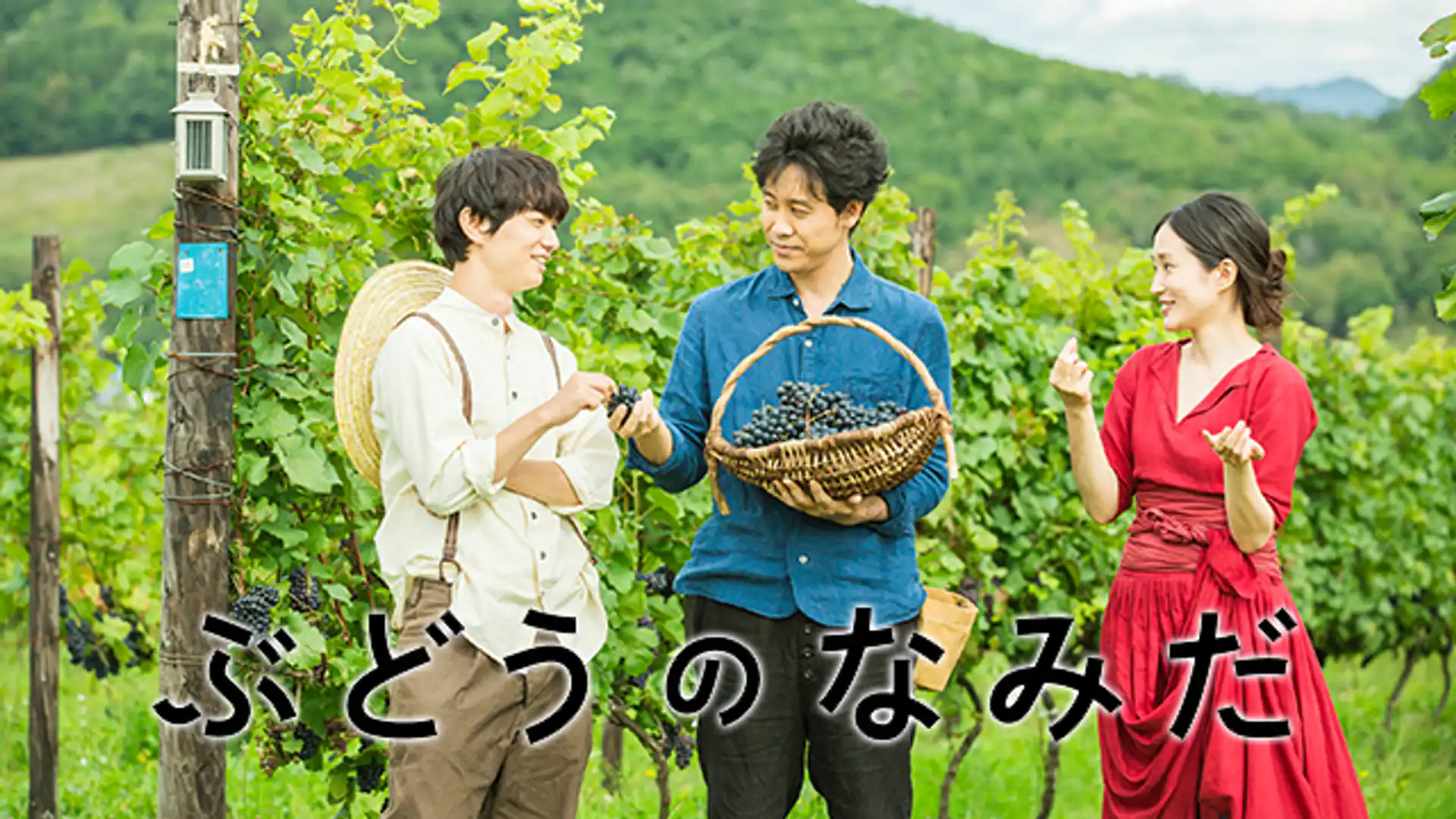 ぶどうのなみだ