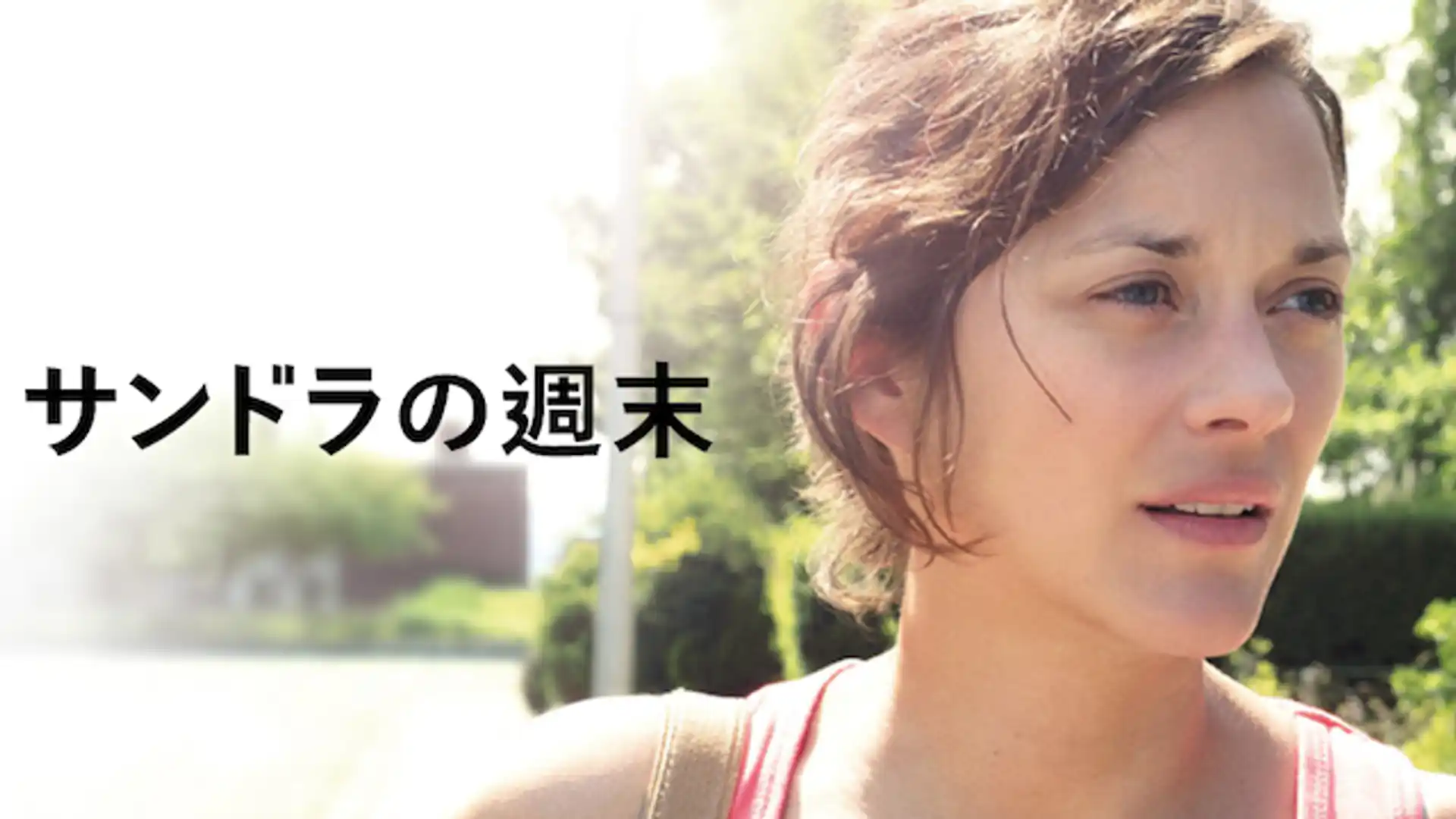 サンドラの週末