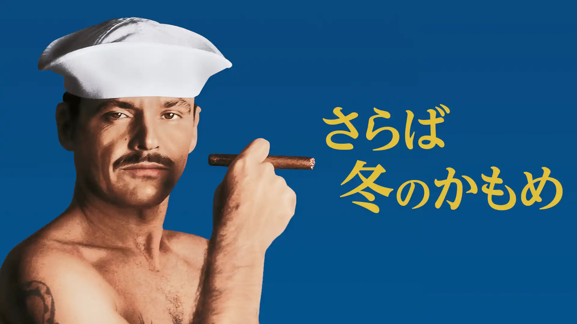 さらば冬のかもめ