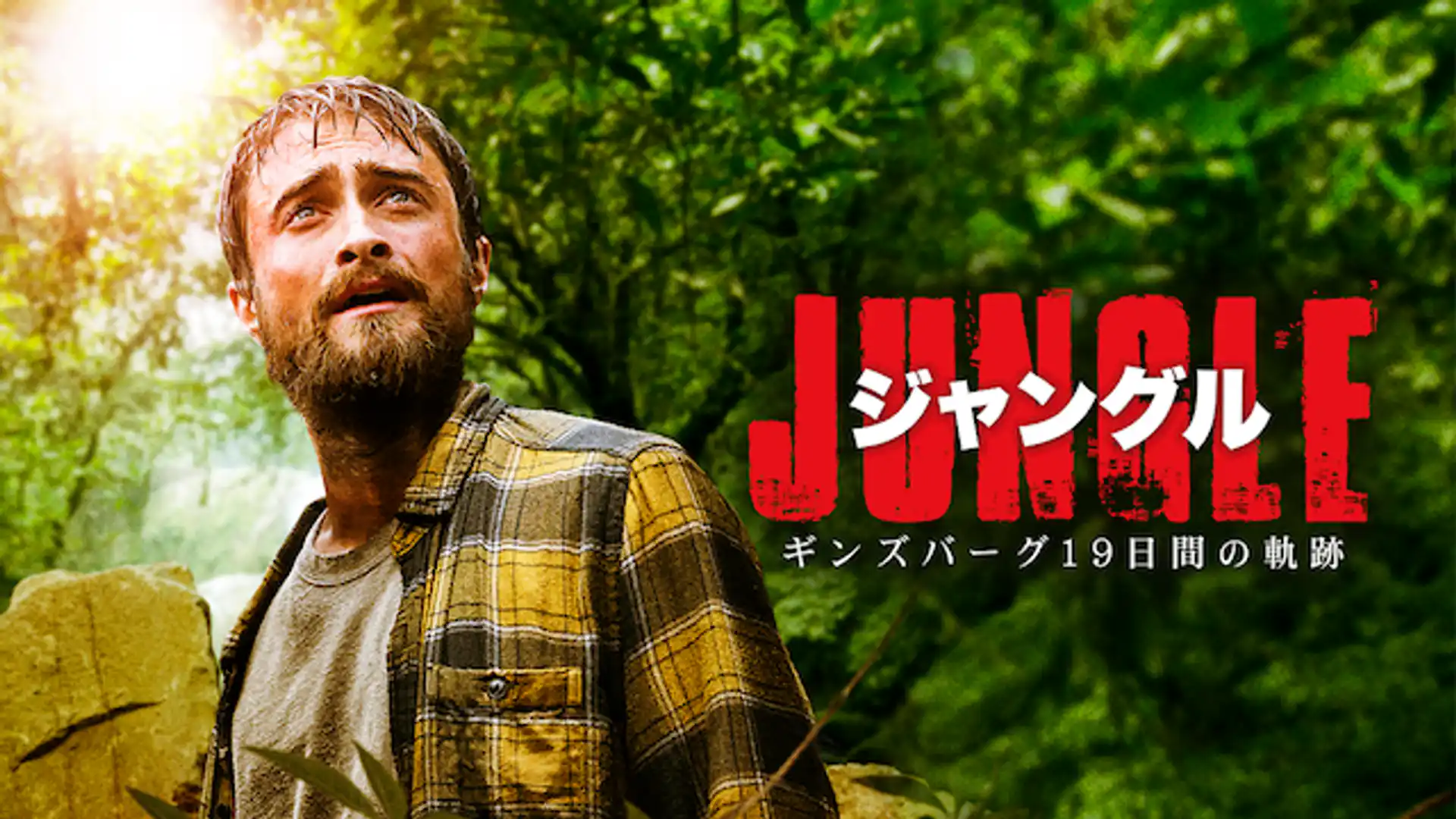 ジャングル ギンズバーグ19日間の軌跡