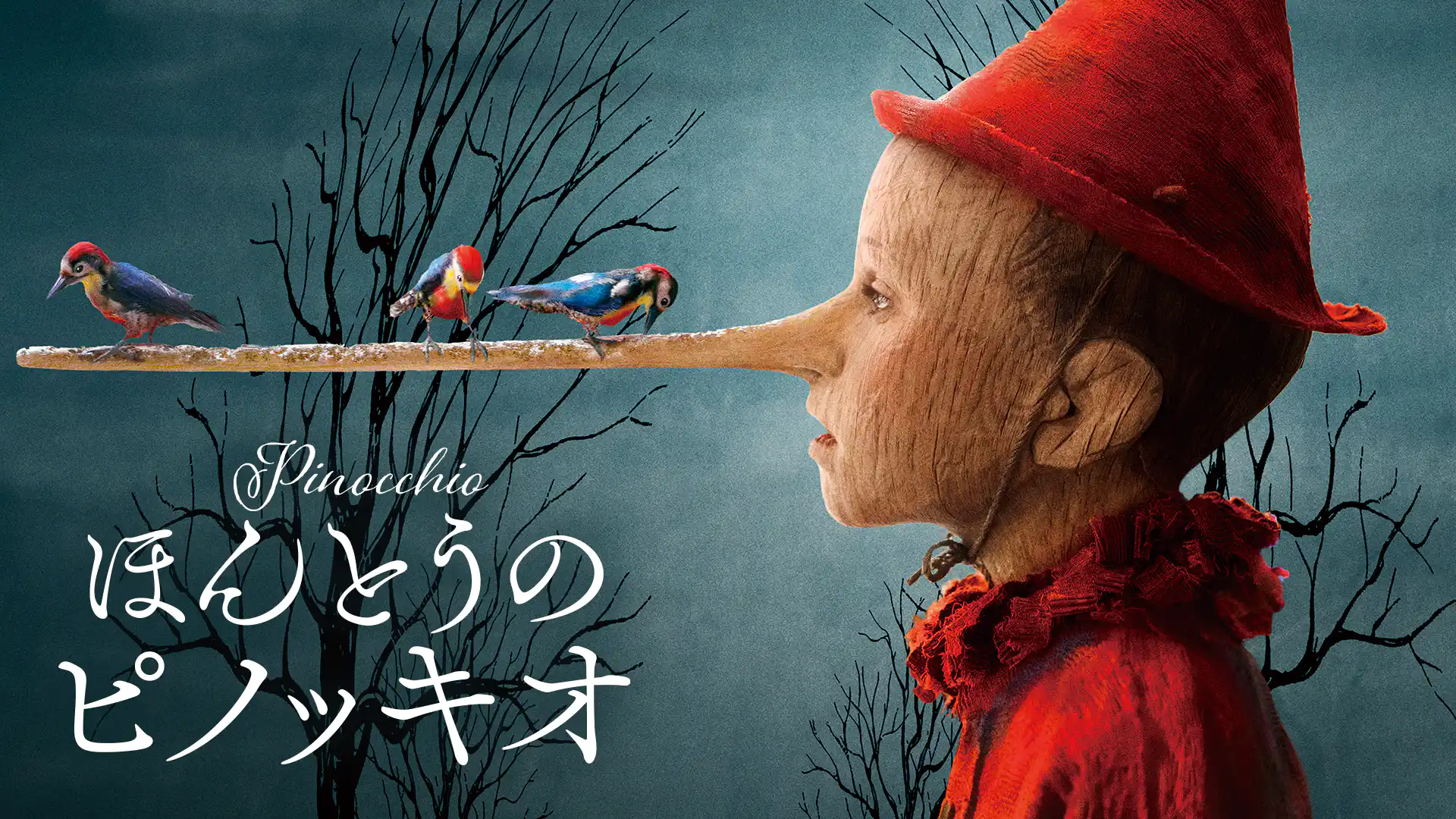 ほんとうのピノッキオ