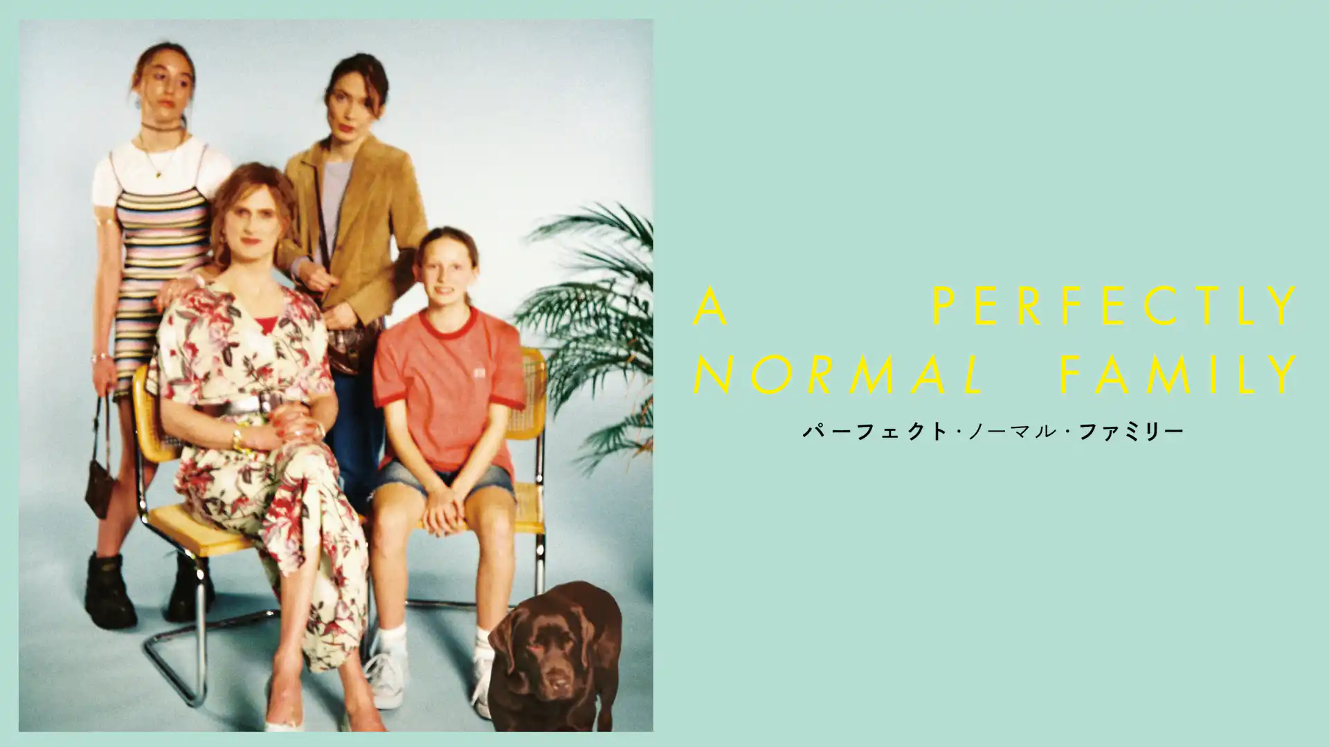 パーフェクト・ノーマル・ファミリー