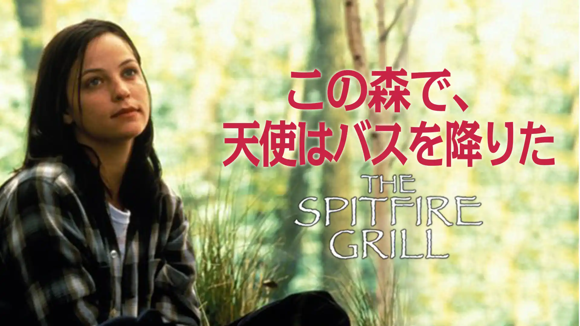 この森で、天使はバスを降りた