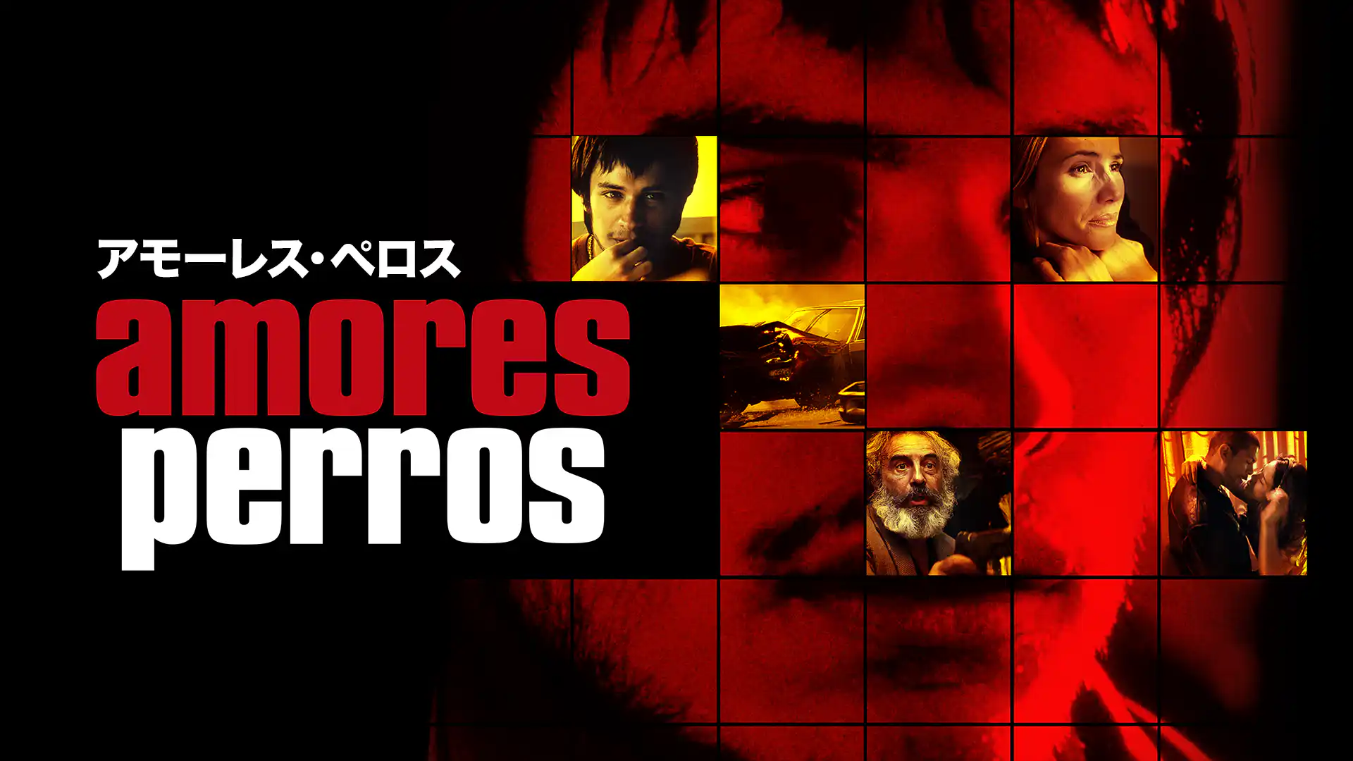 アモーレス・ペロス