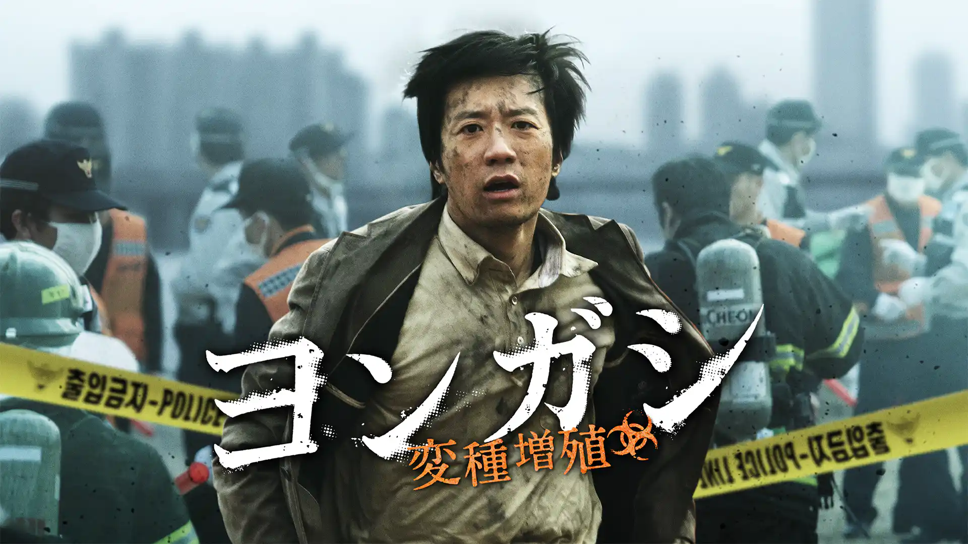 ヨンガシ 変種増殖