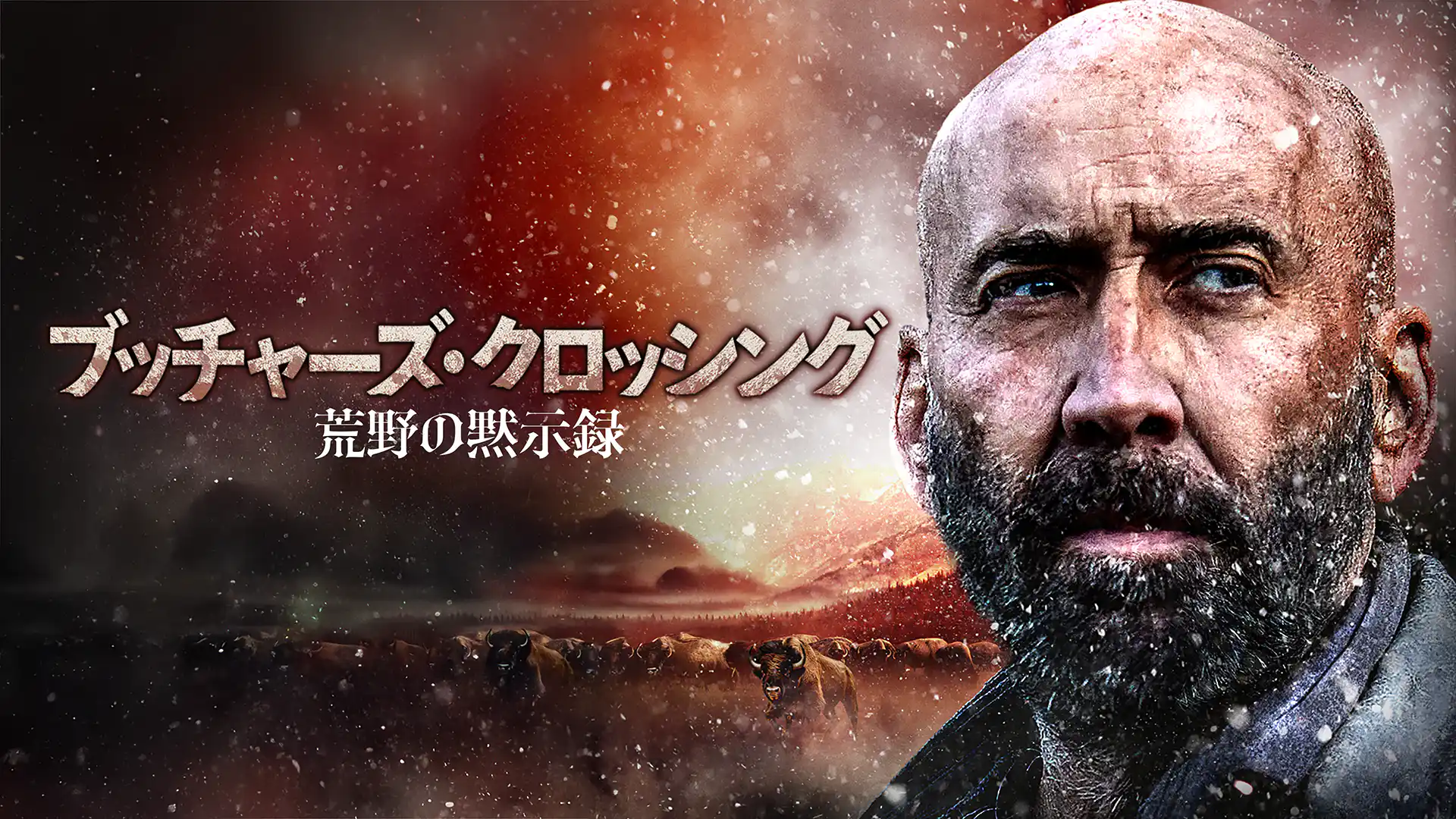 ブッチャーズ・クロッシング ー荒野の黙示録ー