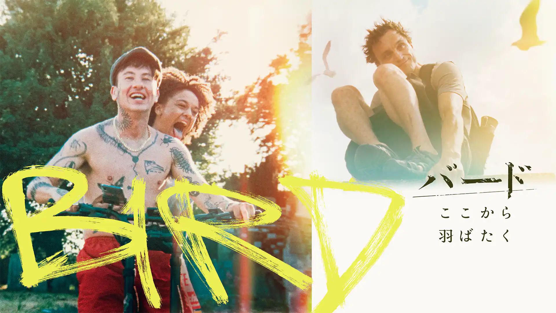 バード ここから羽ばたく