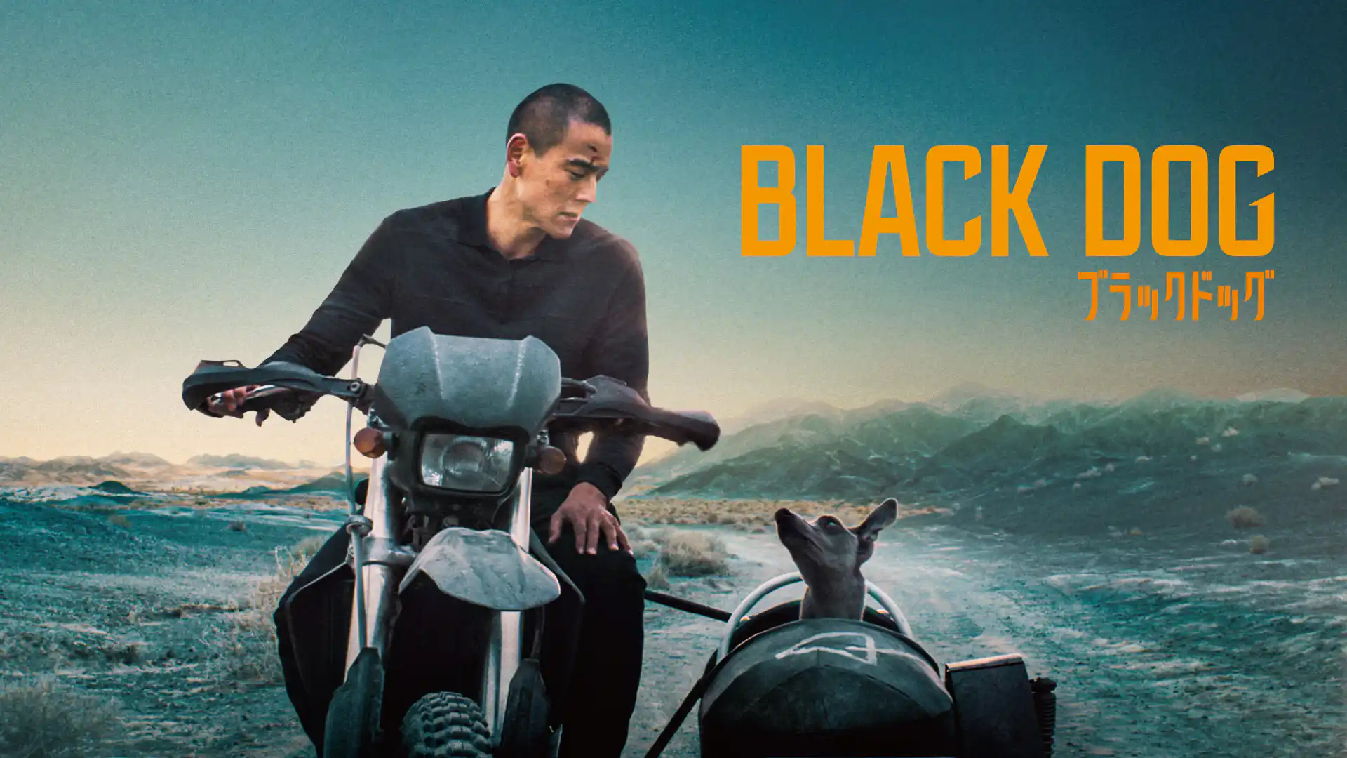 ブラックドッグ