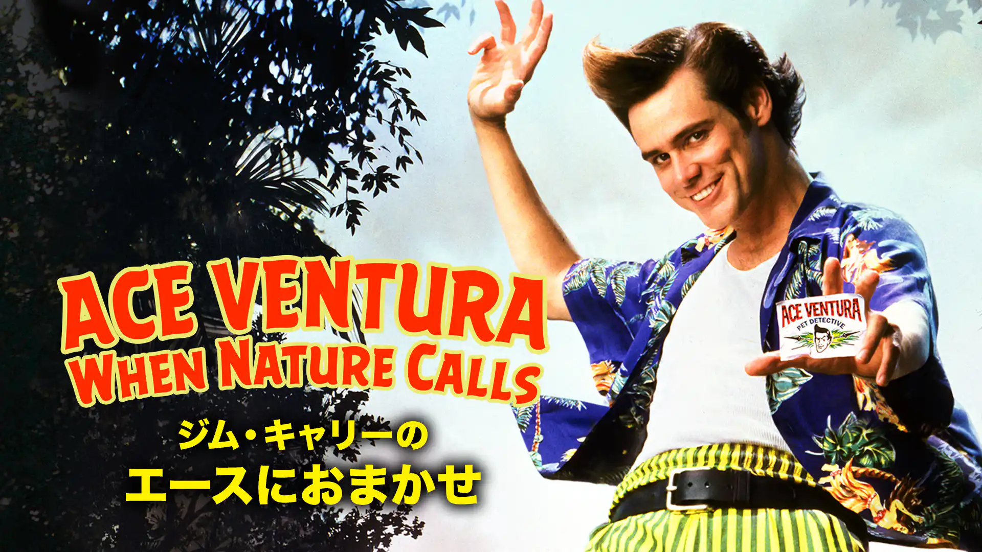 ジム・キャリーのエースにおまかせ／エース・ベンチュラ2