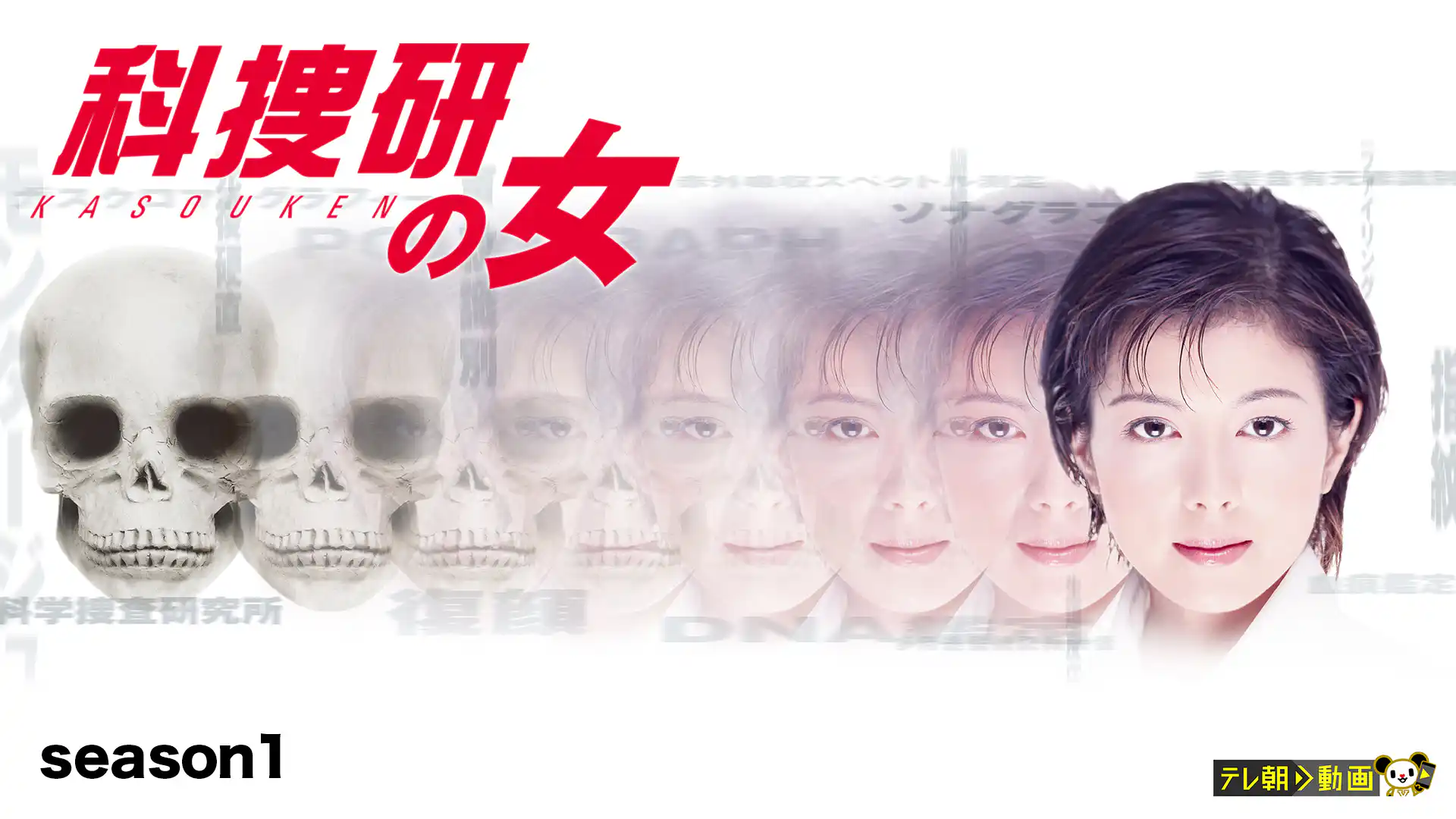 科捜研の女 Season1